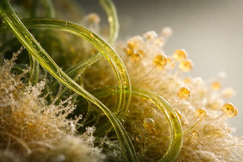 Signals for 2026: Three Shifts That Will Define the Next Season of Change