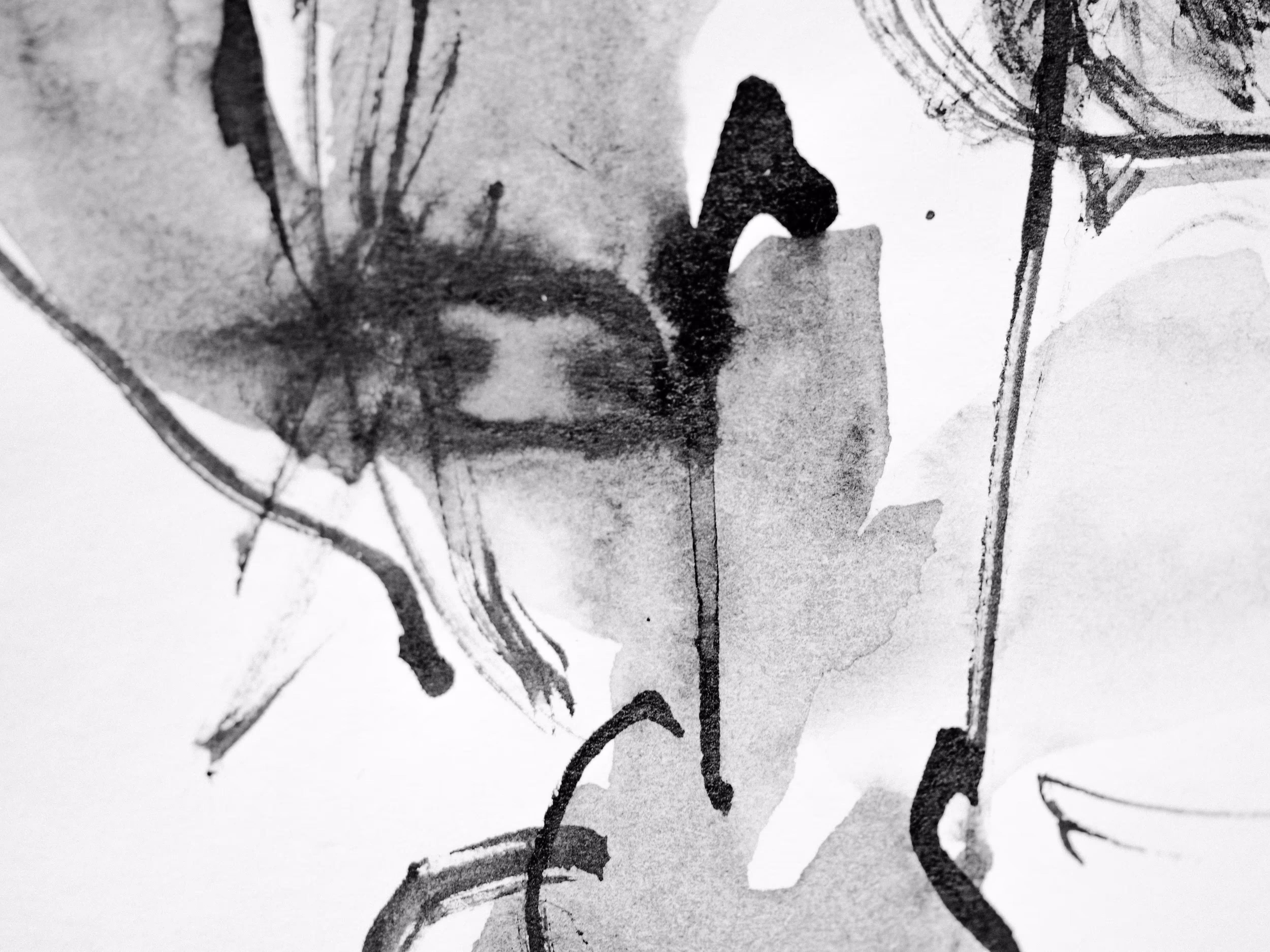 Why The EcoLeader Magazine Exists