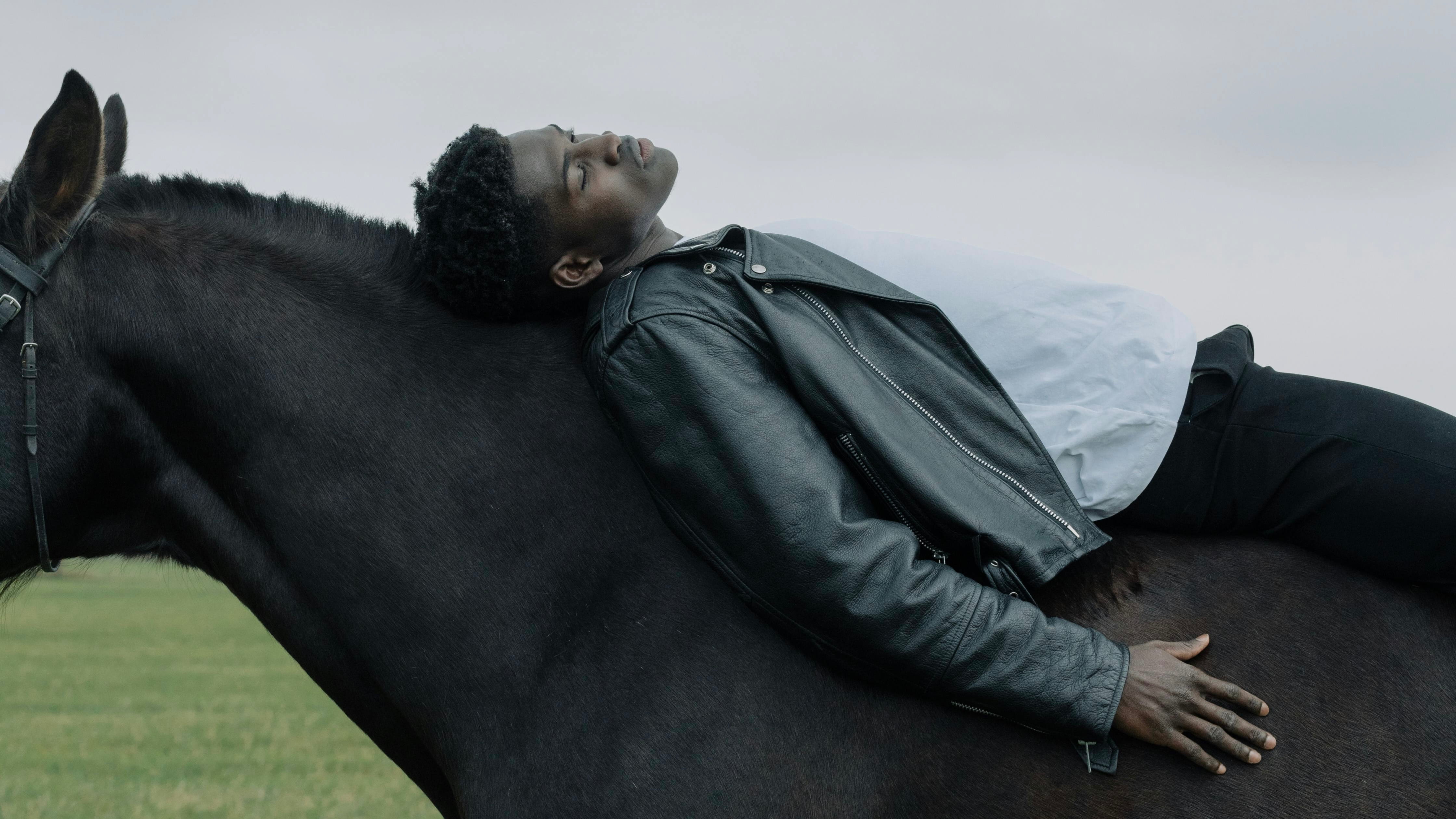 On the Year of the Horse, and the Leadership It Calls Forth