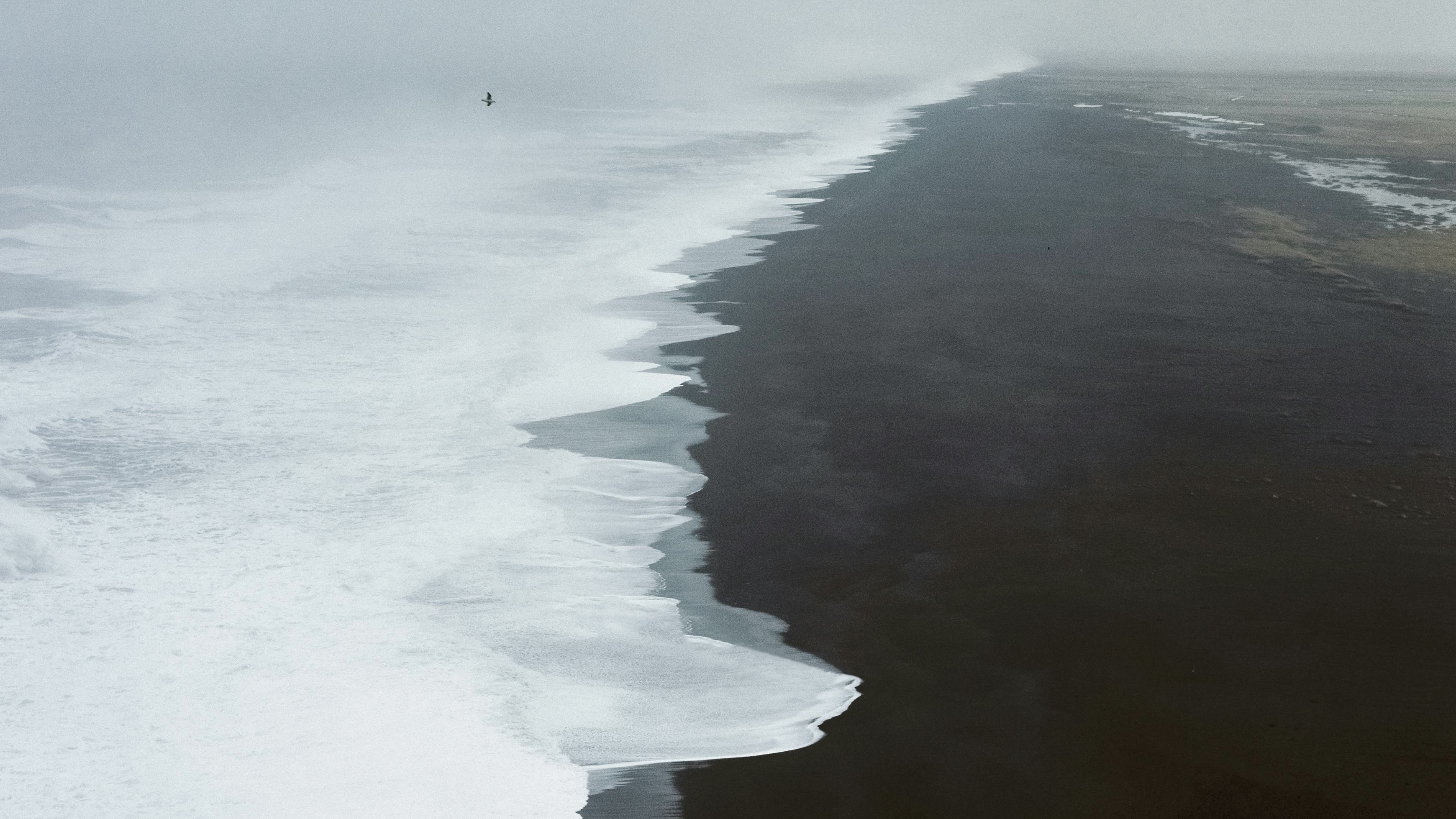 Neither War Nor Peace