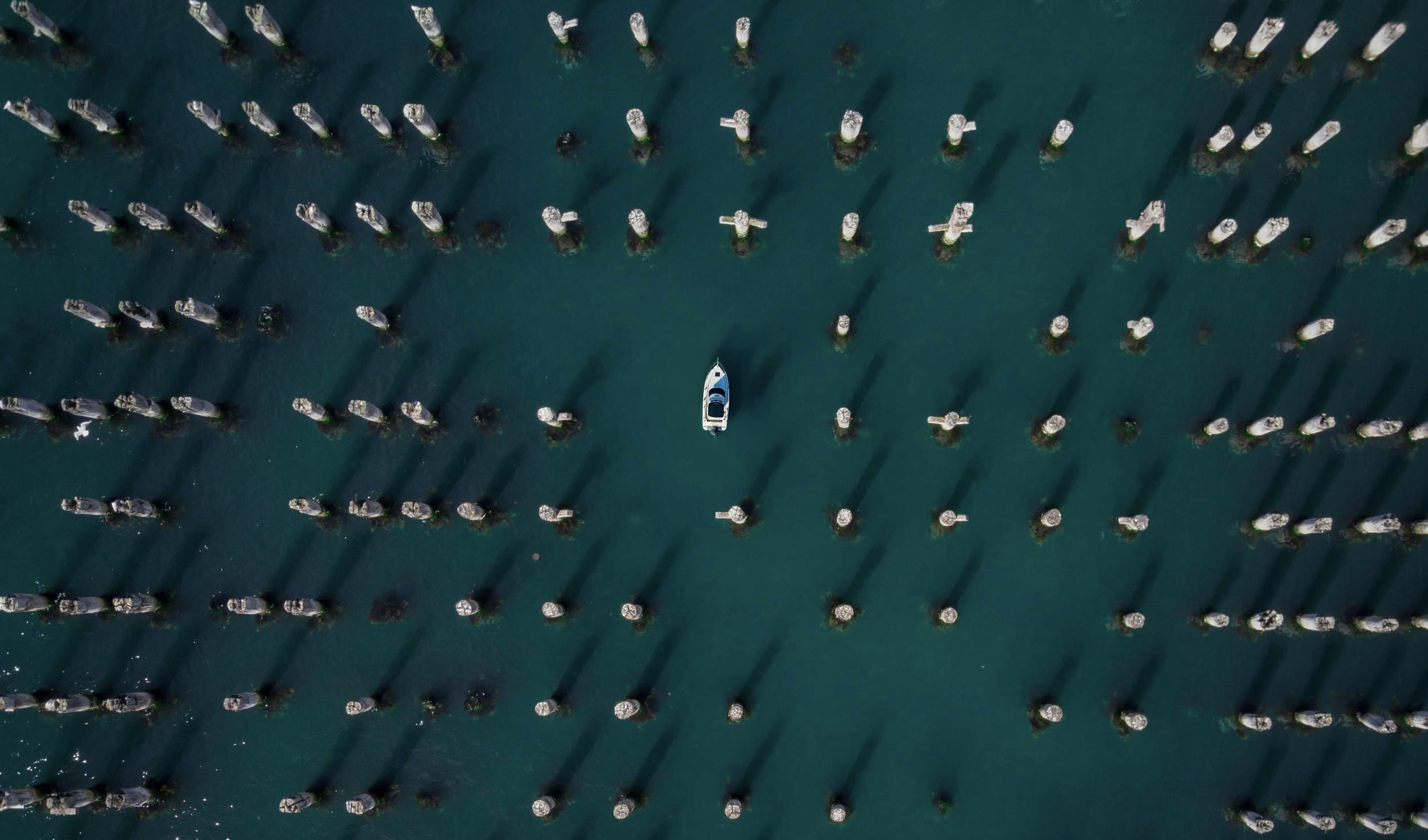 When Economies Turn Inward