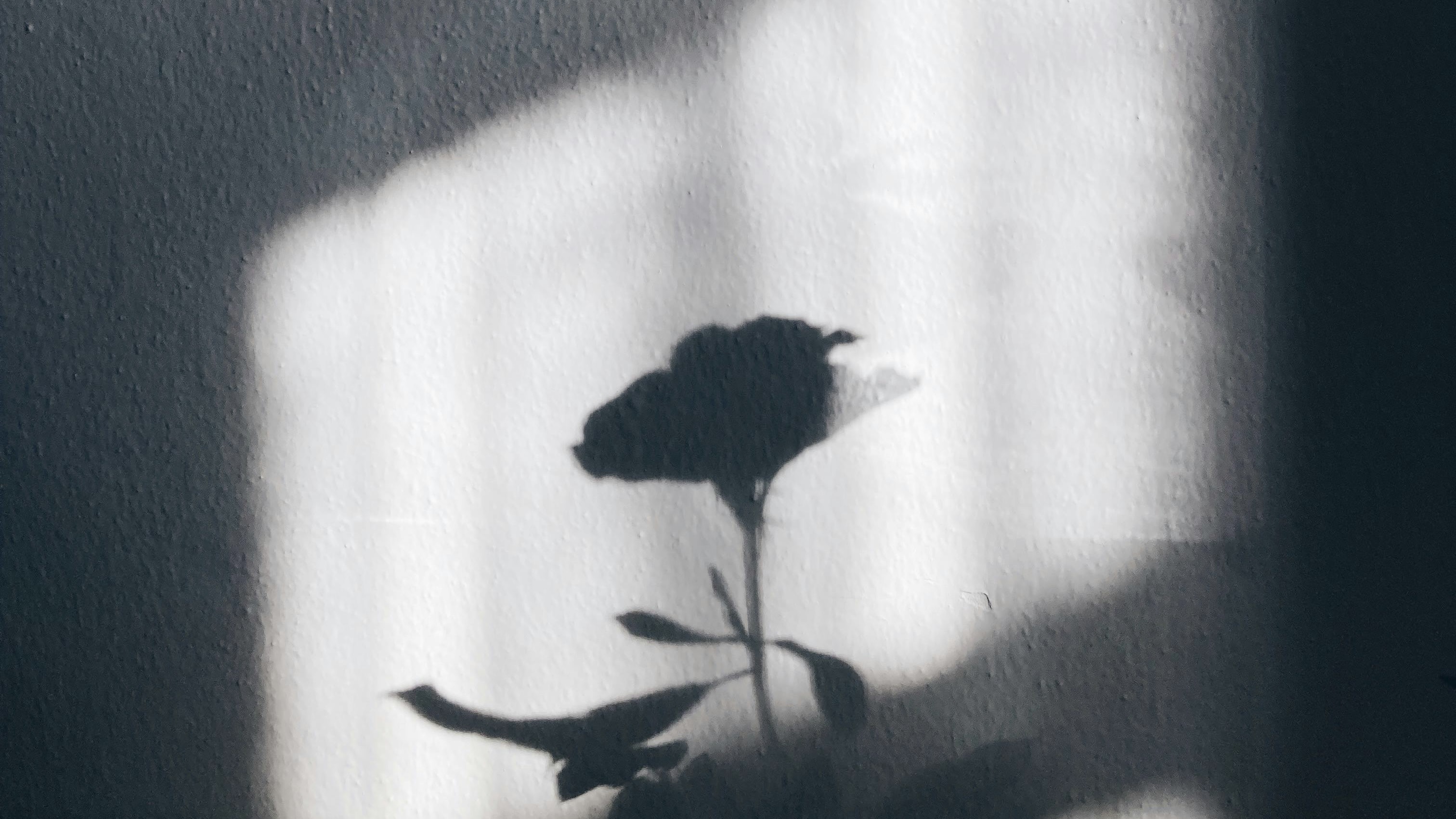 The Courage to be Seen