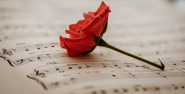 Comment sont gérés les droits de la musique par la SACEM ?