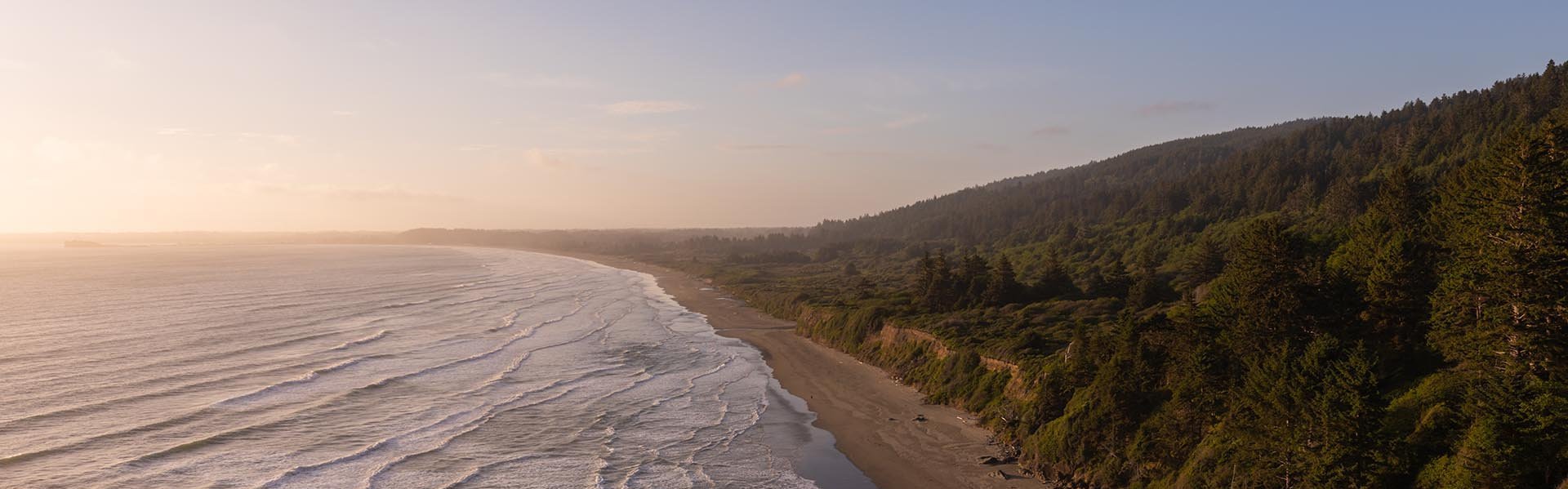California State