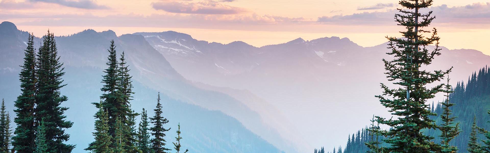 Image of Washington