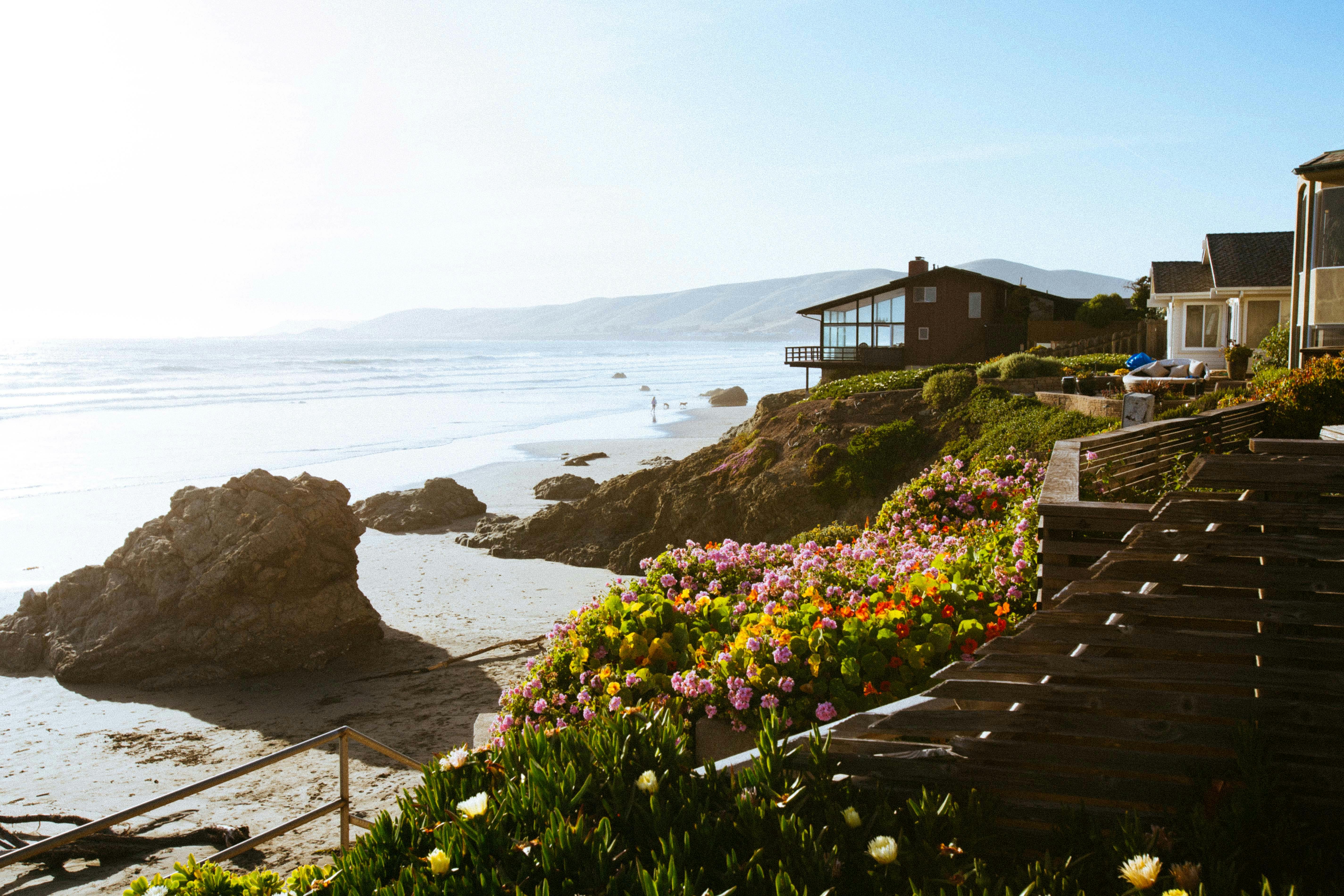 Airbnb Property Management vs. Self-Management: Which Hosting Style Is Right for You?