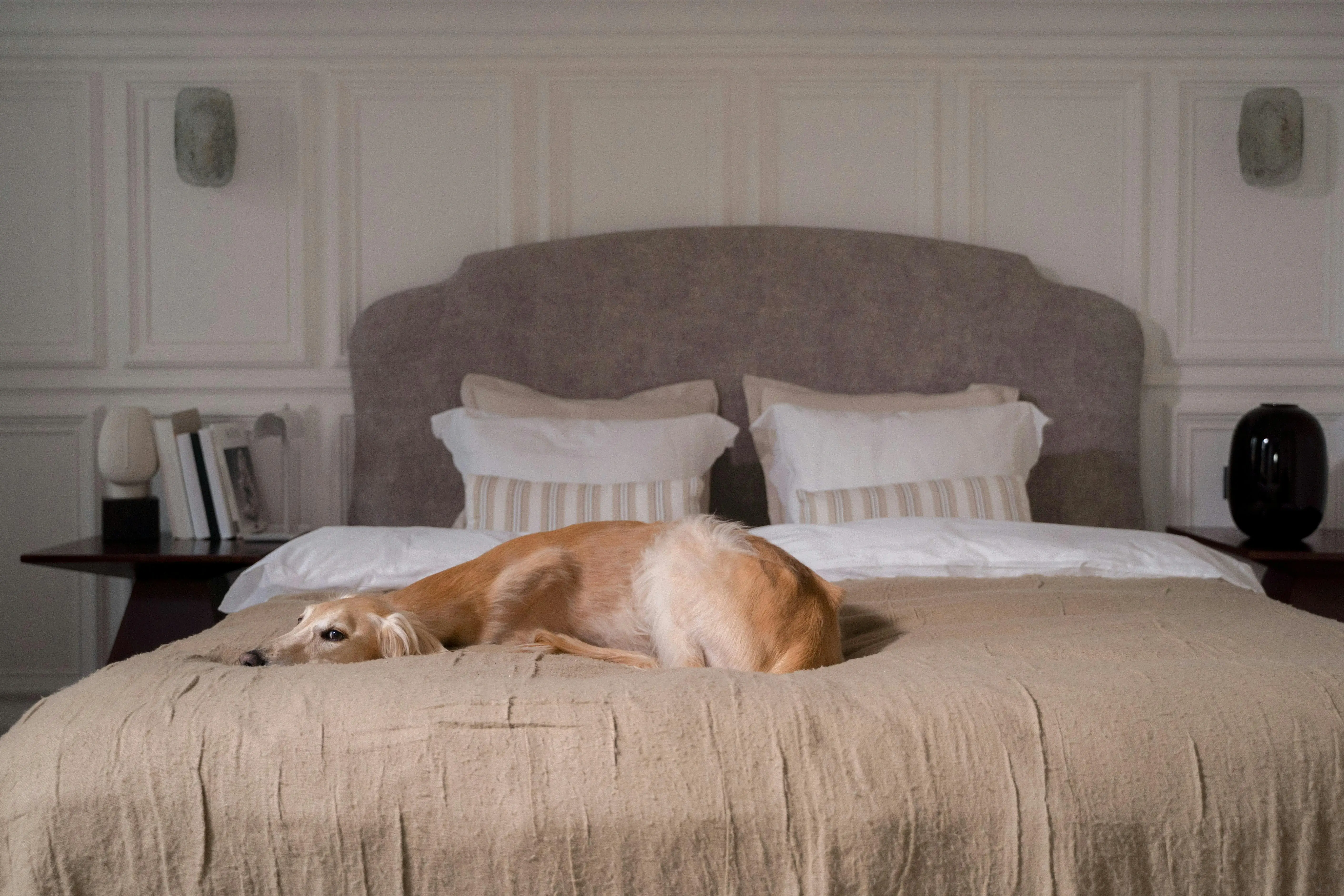 Pet-Friendly Airbnb Rentals: How to Set Up, Market, and Protect Your Property