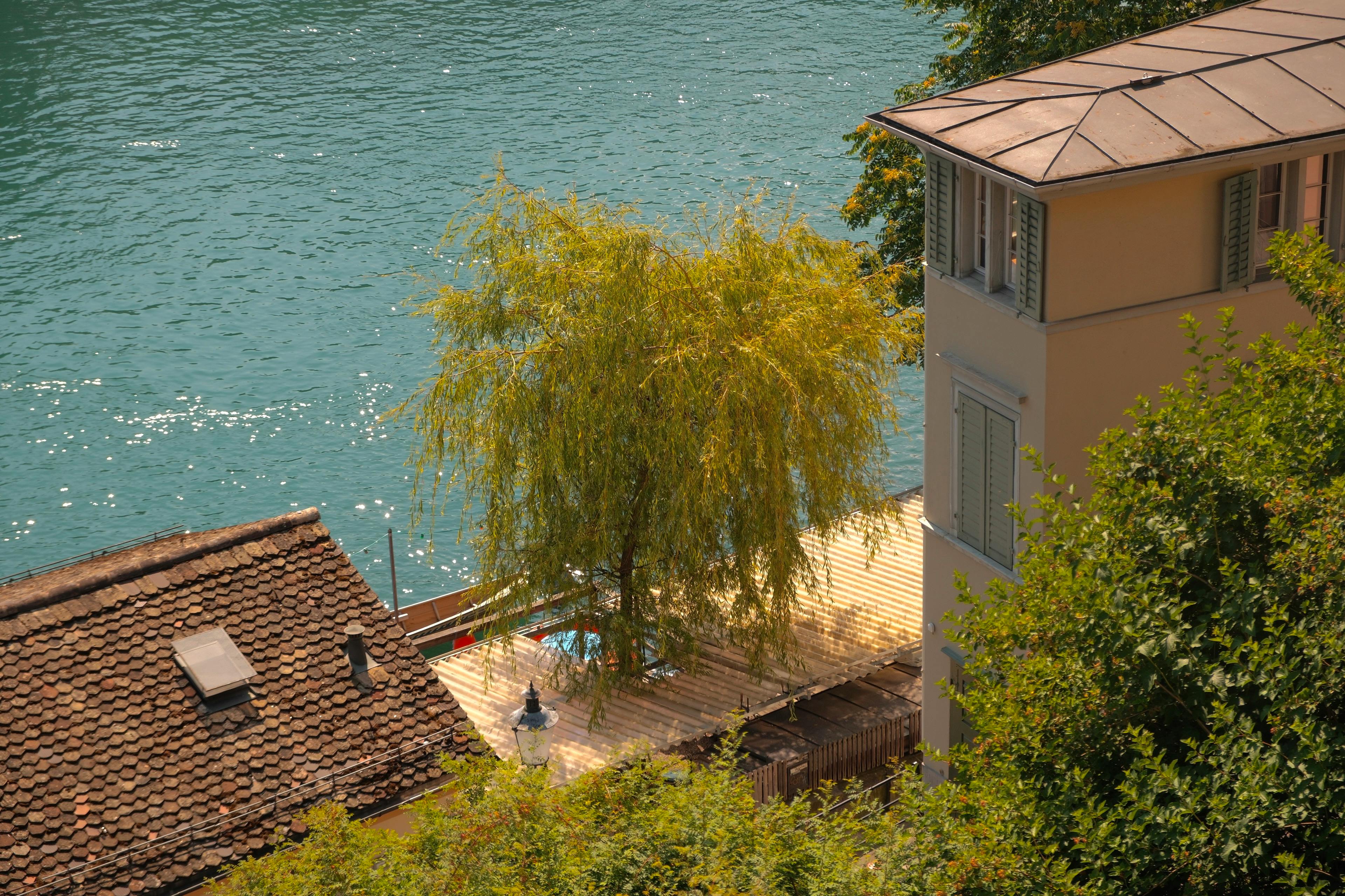 The Future of Property Management Systems: Automation, AI, and Multi-Channel Bookings