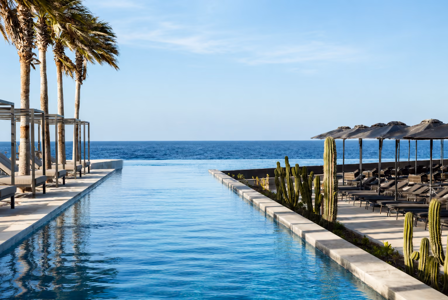 Infinity pool with palm trees and lounge chairs overlooking the ocean under clear blue sky.