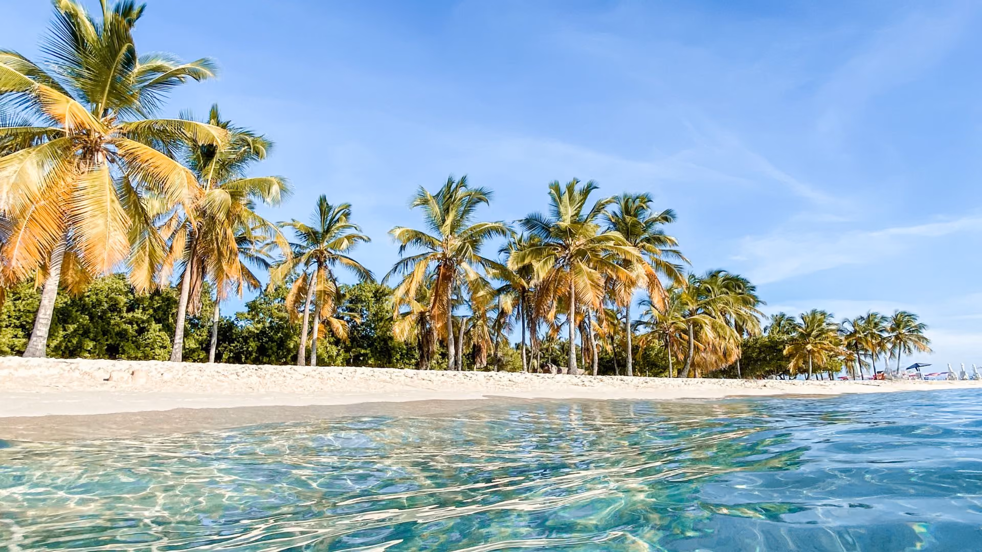 Clear turquoise ocean water in the foreground with a sandy beach lined by tall palm trees under a blue sky.