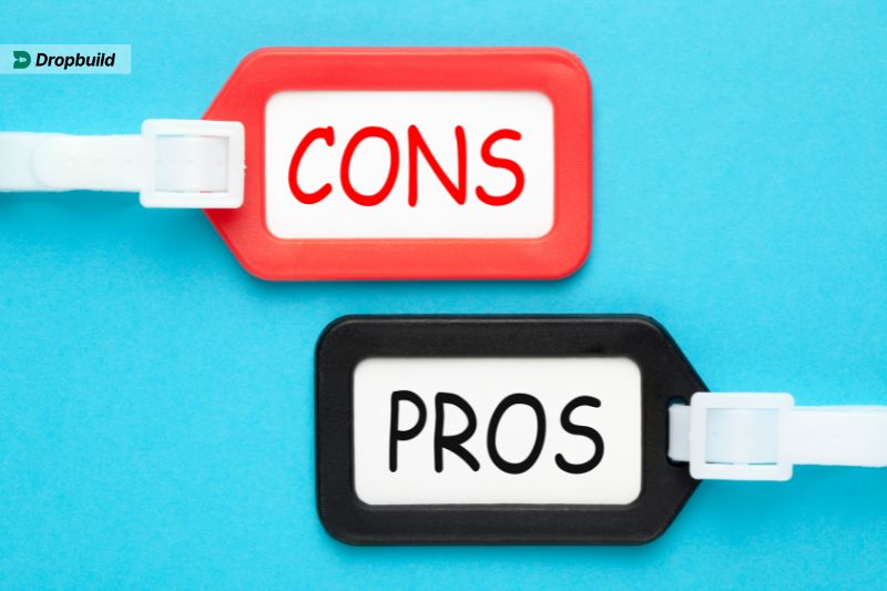 CSV dropshipping pros and cons