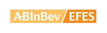 AB InBev Efes