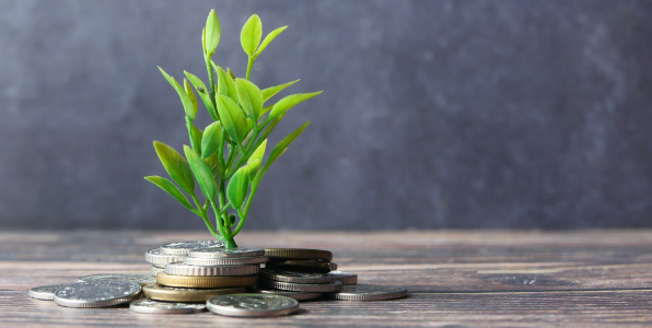 How Contribution Strategy Supercharges Long-Term Wealth