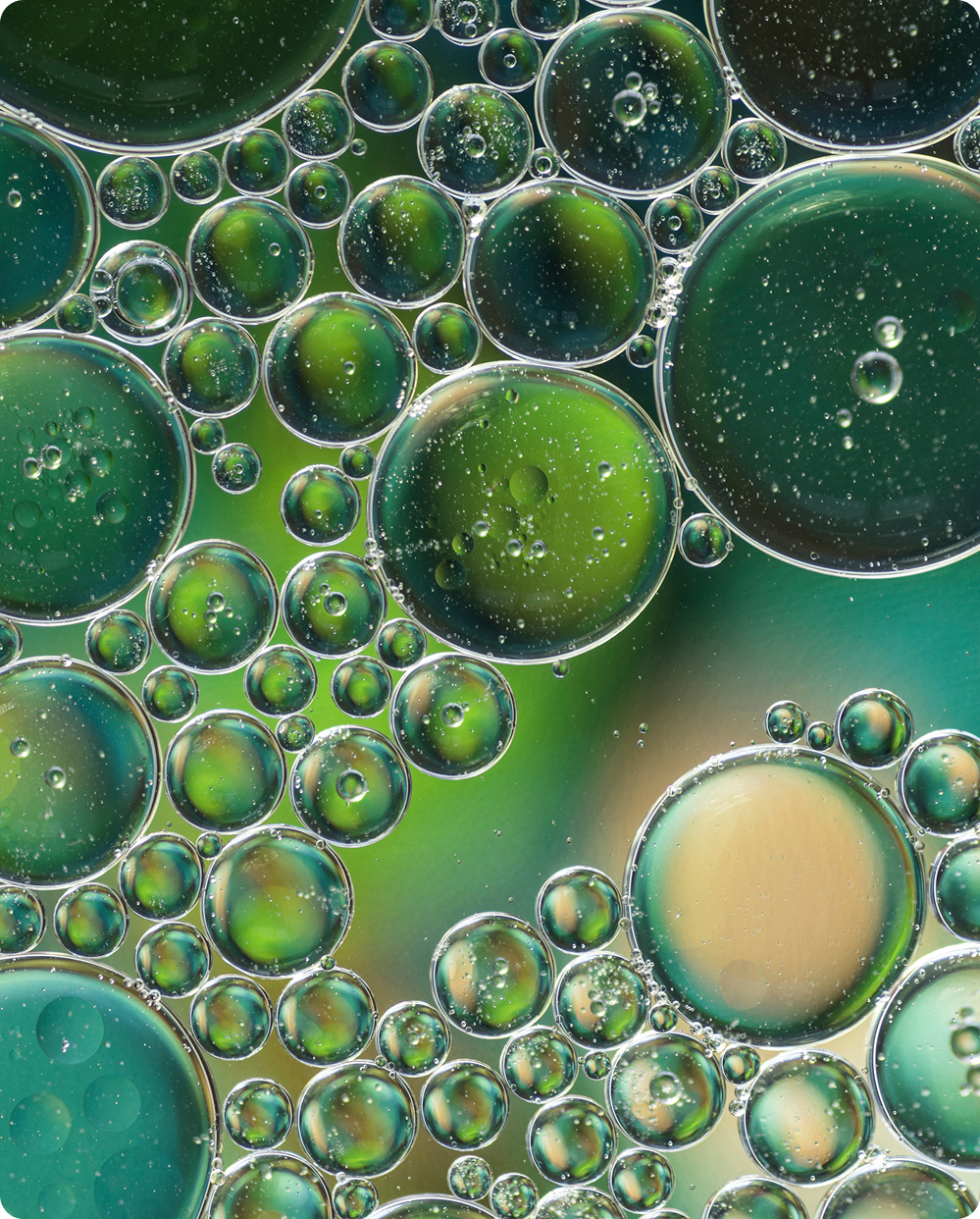 can vitamin e oil cause yeast infections