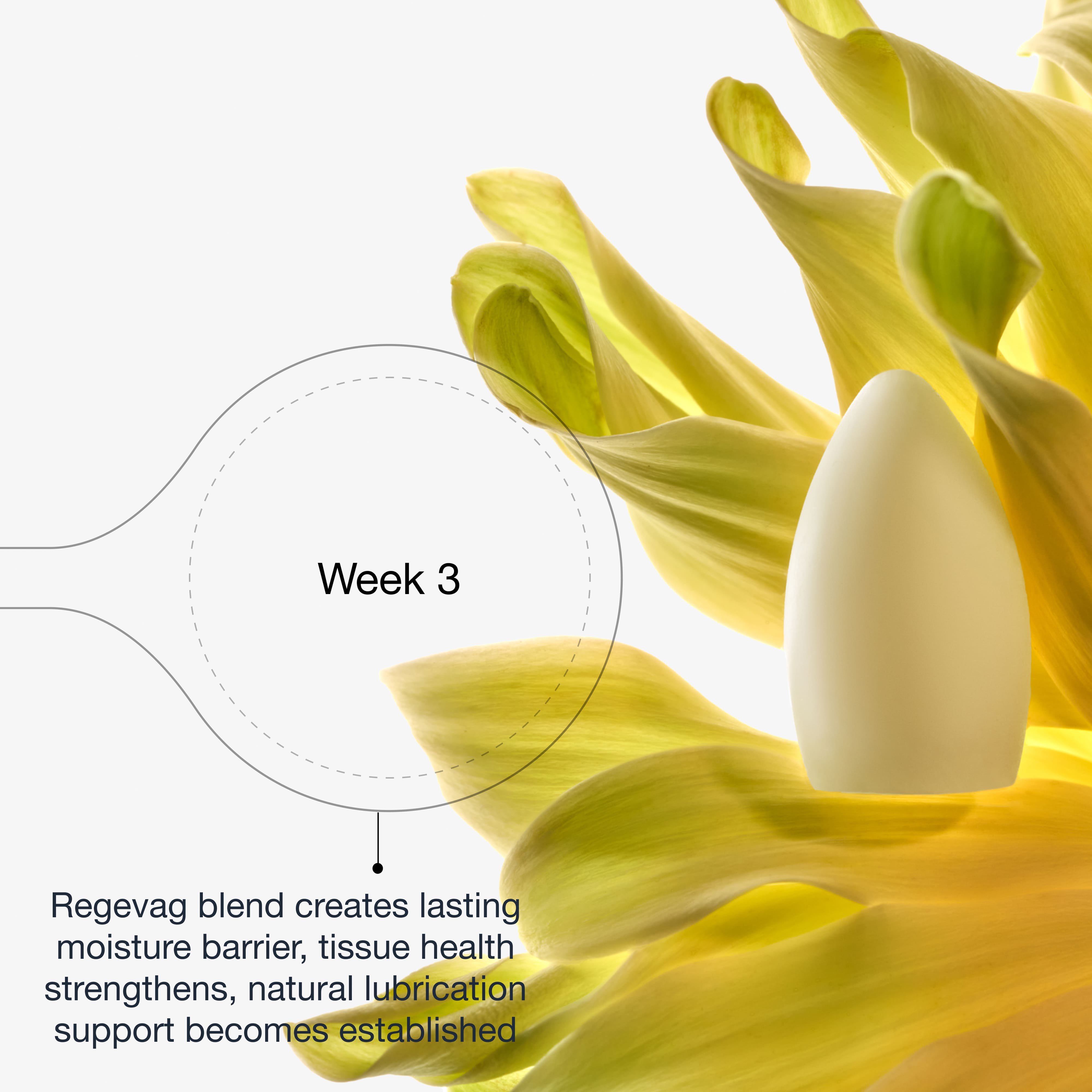 best vaginal suppositories for lubrication