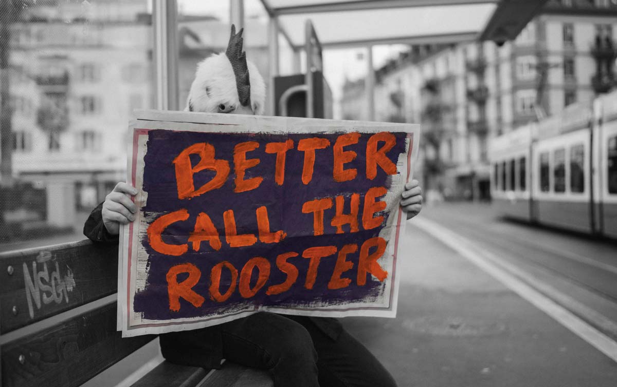 Titelbild – Better call the Rooster