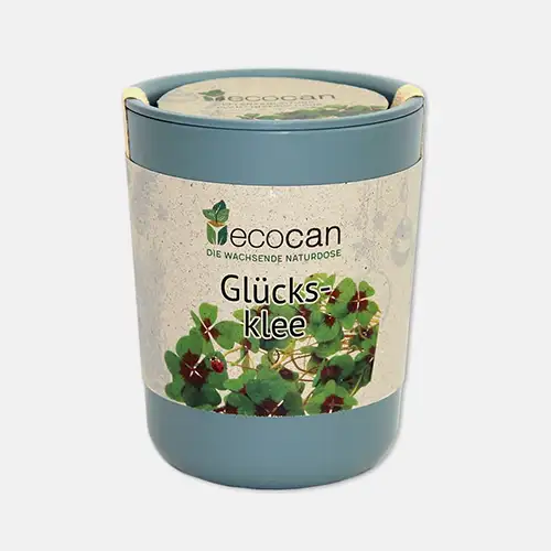 Glücksklee