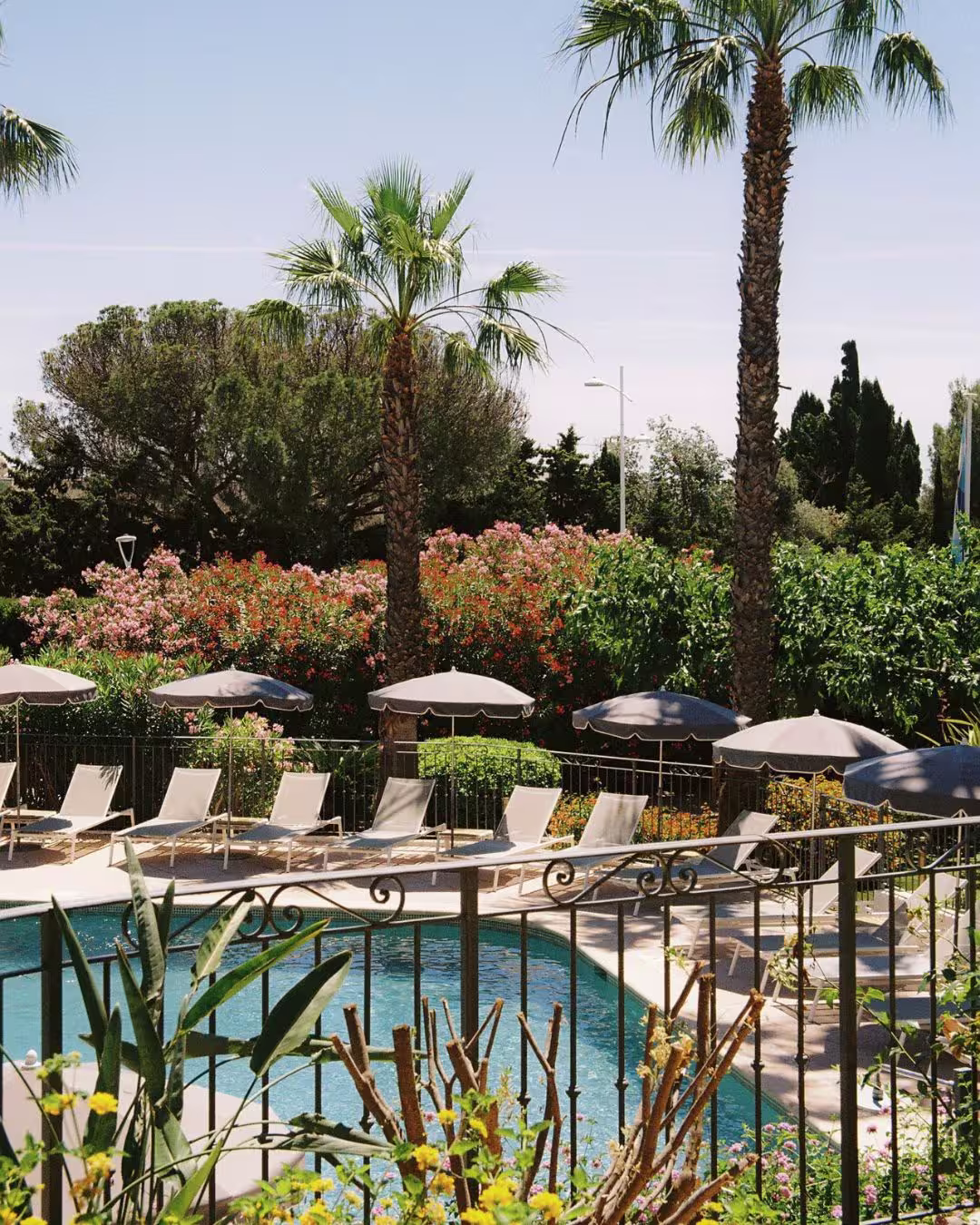 Piscine bordée de transats, parasols et palmiers à l’Hôtel Le Catalogne de Saint-Aygulf.