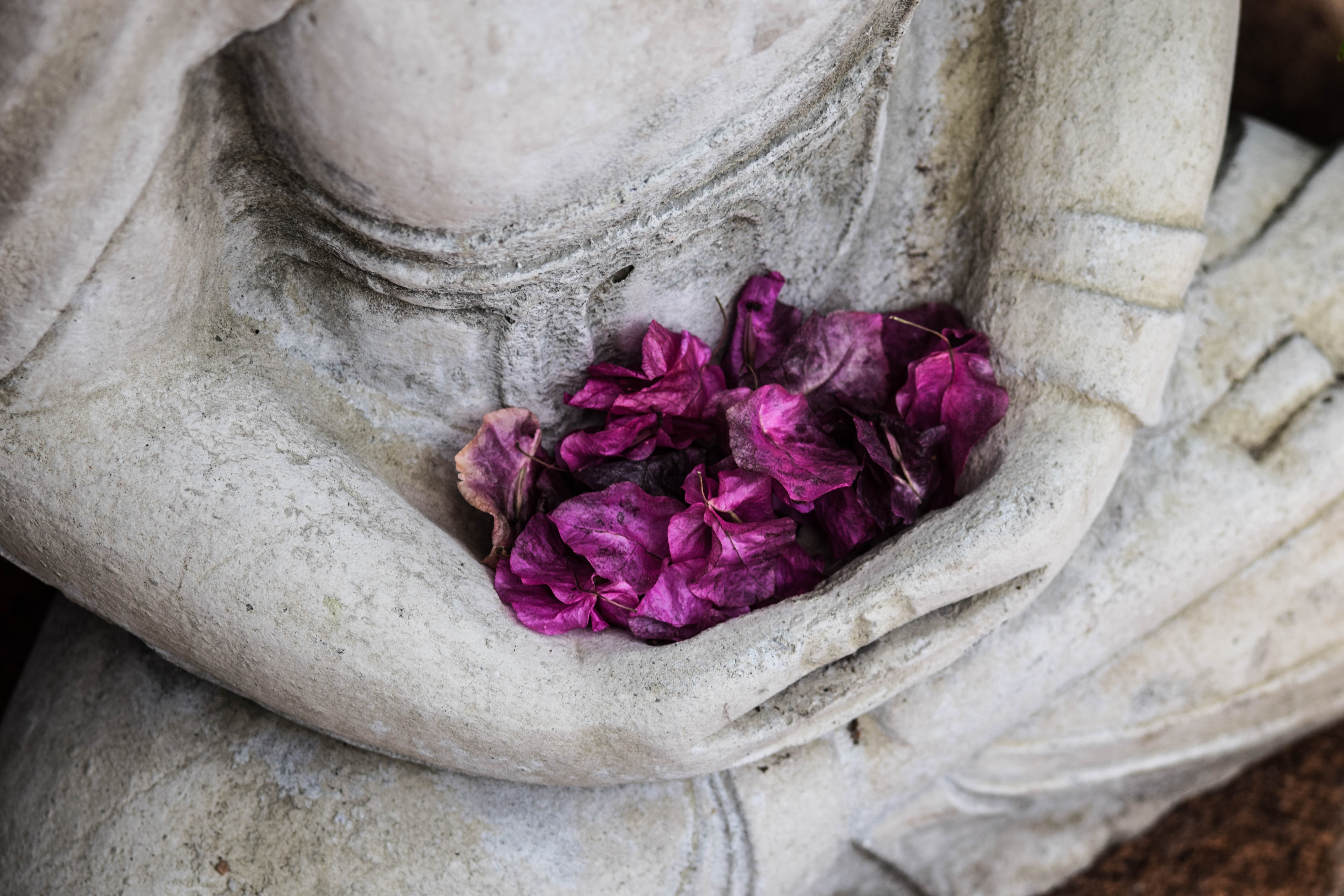 Embodied Origins Online Course