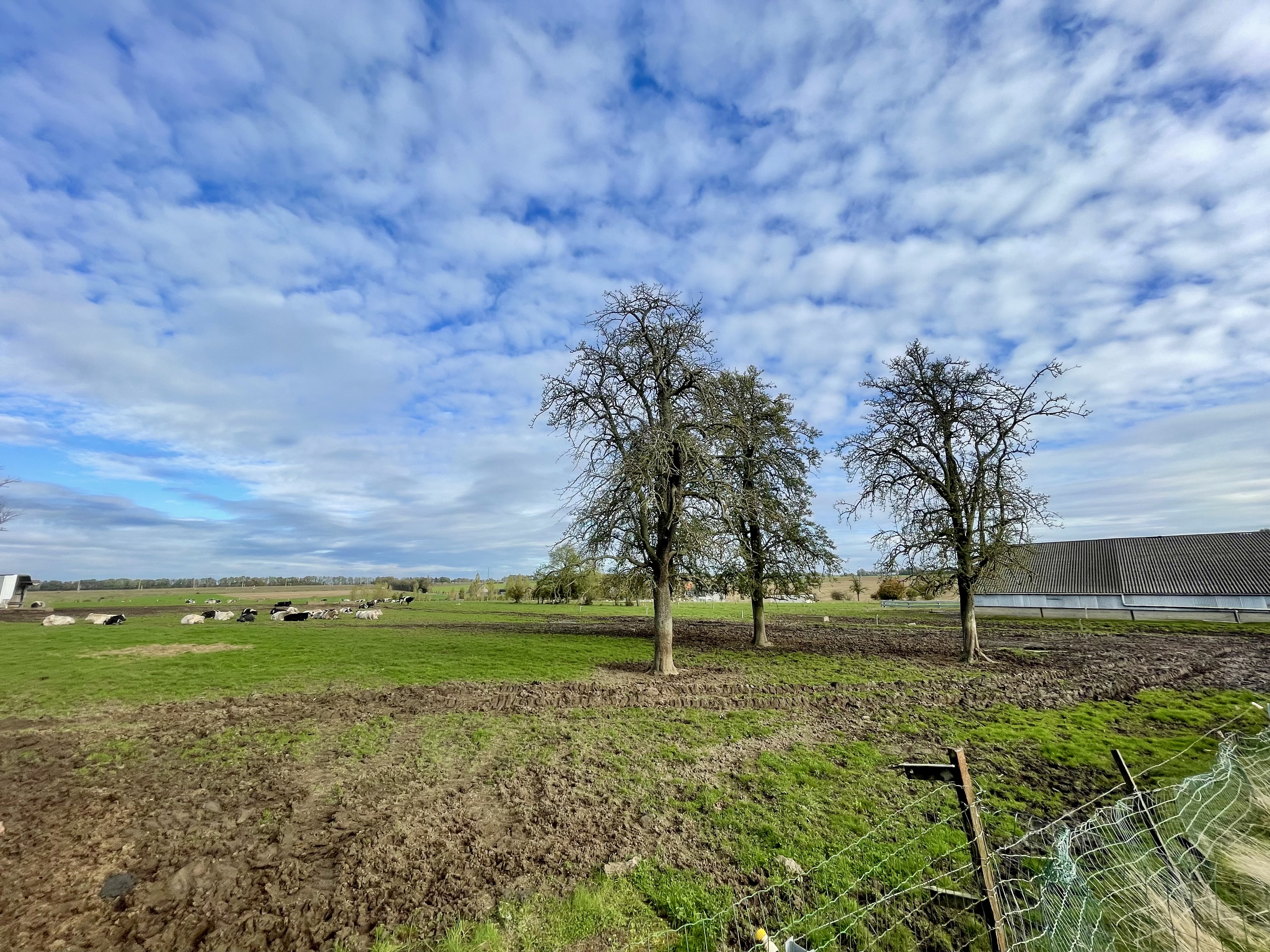 Maison à réinventer – jardin spacieux et cadre paisible
