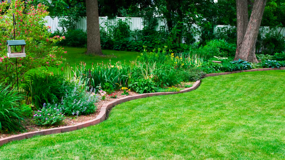 Lush green lawn with a curved flowerbed, trees, and a white fence in the background.