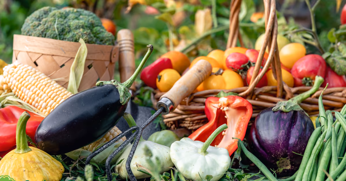 Fresh vegetables 