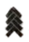 logo icon