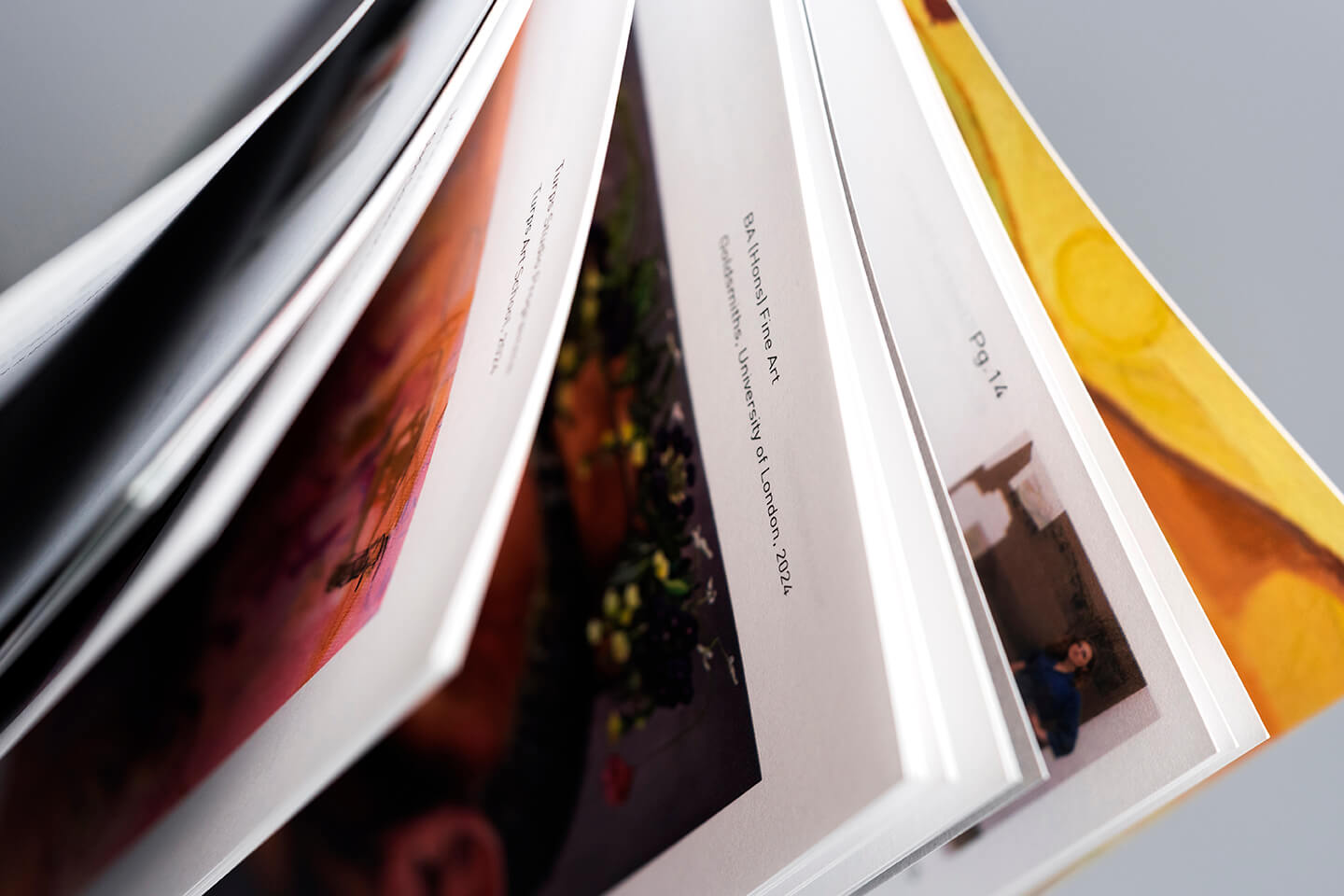 Art Book Stochastic Screening print