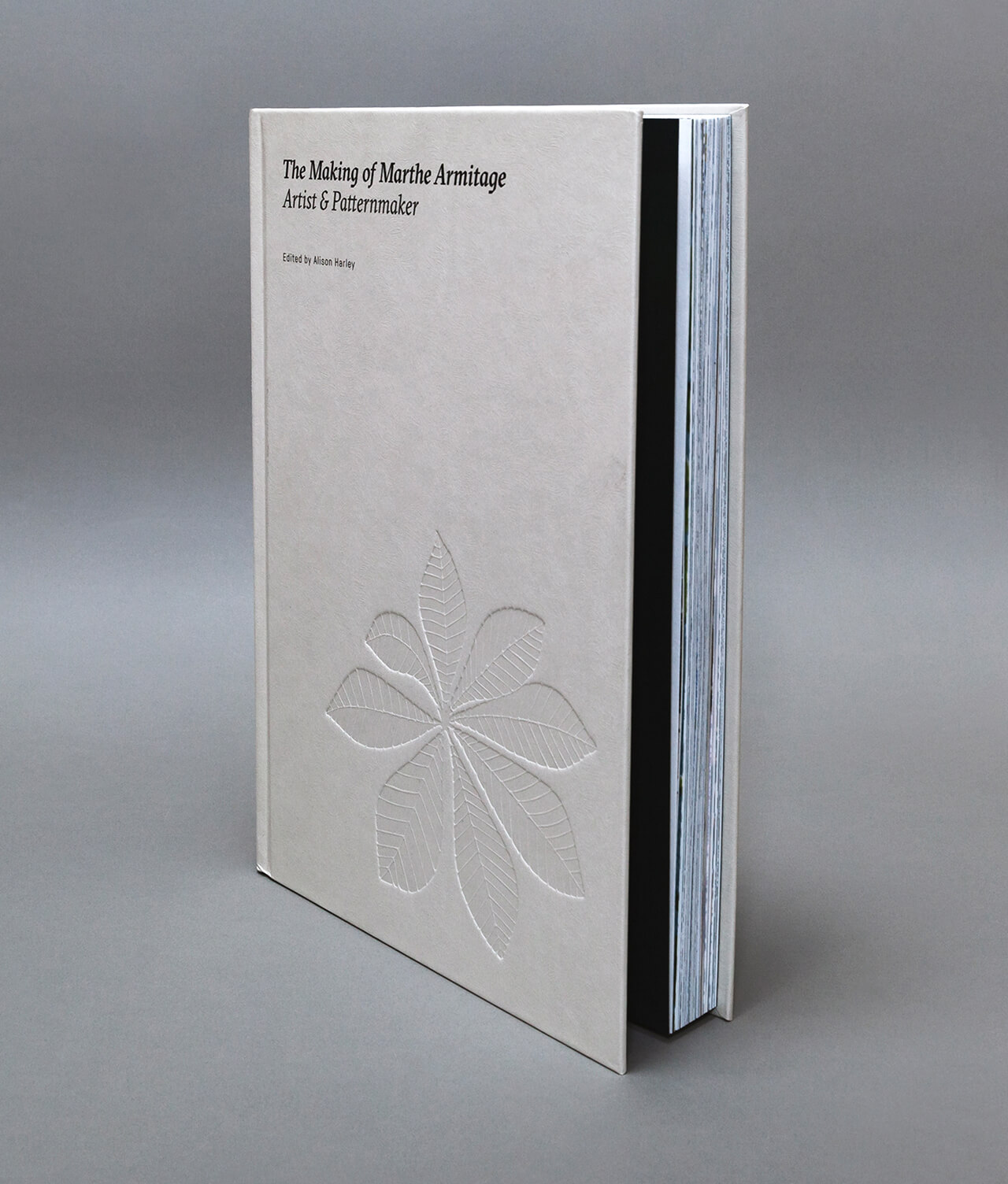 Art book cover Colorplan Mist Embossed 135gsm