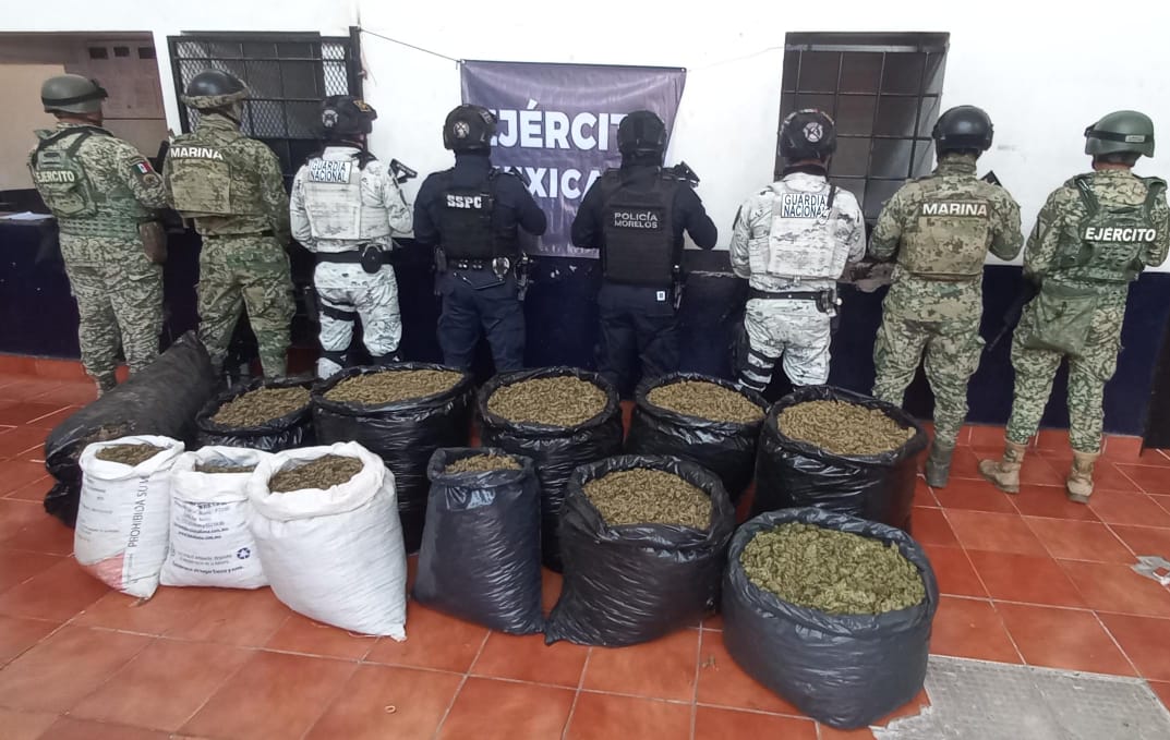 Aseguran integrantes de la Mesa de Construcción de Paz y Seguridad, cargamento de 200 kilogramos de hierba verde, similar a la marihuana