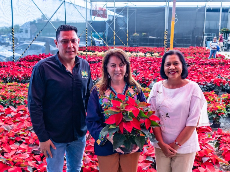 Impulsa el Gobierno de La tierra que nos une una intensa promoción para la venta de flor nochebuena rumbo a la temporada decembrina Impulsa el Gobierno de La tierra que nos une una intensa promoción para la venta de flor nochebuena rumbo a la temporada decembrina