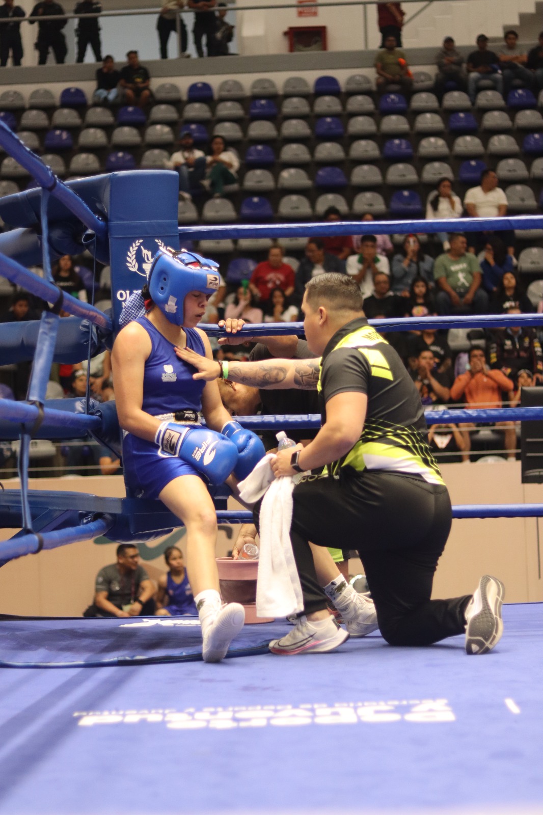 Alista entrenador morelense trabajo rumbo a competencias de boxeo en 2026