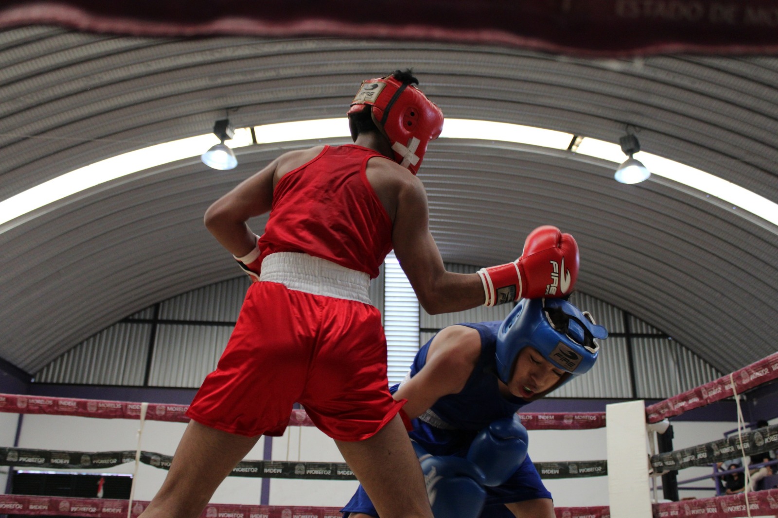 Respalda Gobierno de Morelos al boxeo local Respalda Gobierno de Morelos al boxeo local