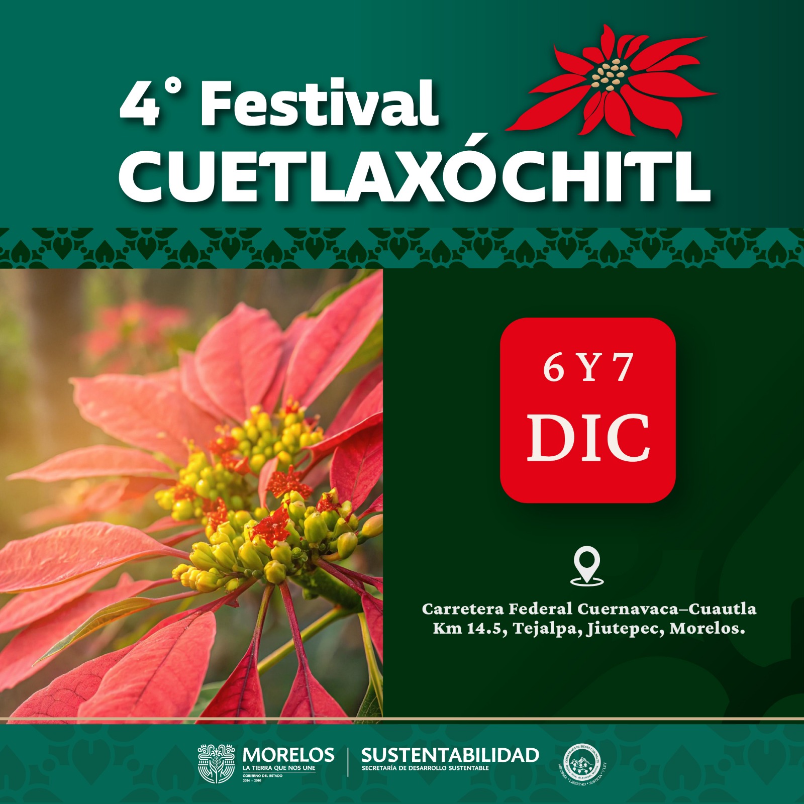  Se realizará 4.º Festival de la Cuetlaxóchitl 2025 en el parque estatal el Texcal