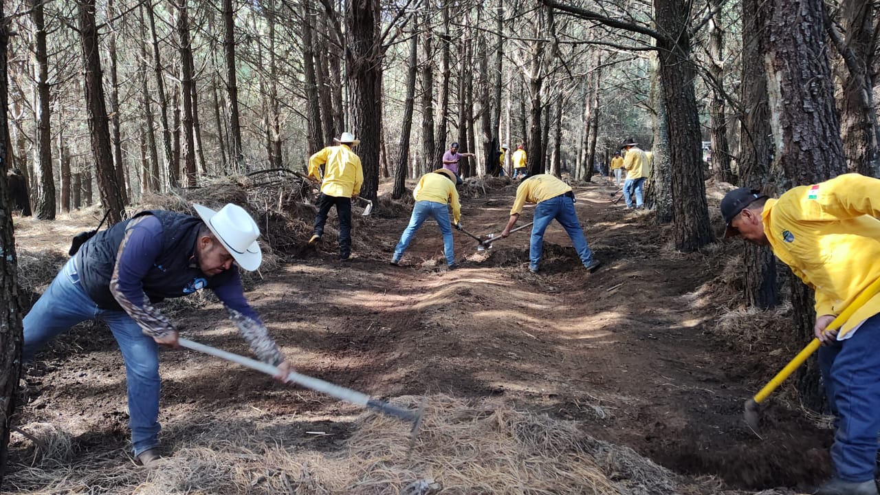 Continúa trabajo interinstitucional de prevención de incendios en el Bosque de Agua