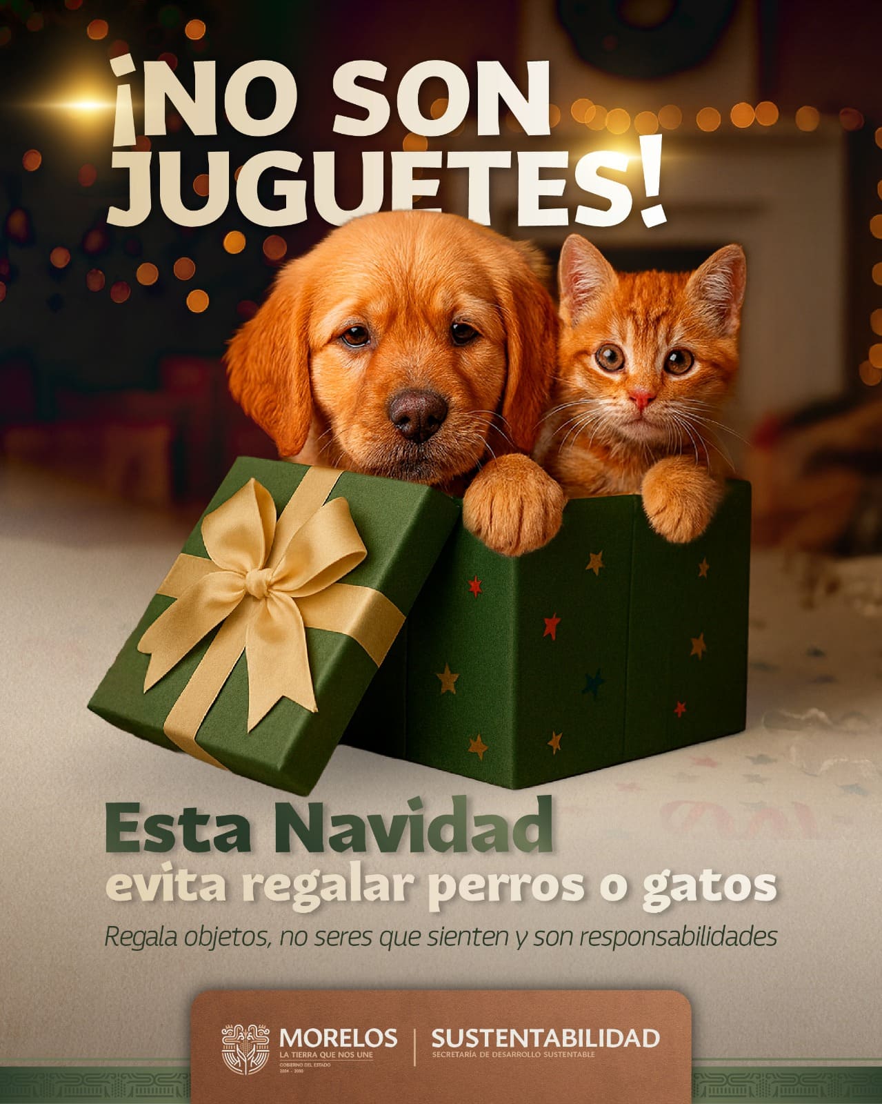 Exhorta Secretaría de Desarrollo Sustentable evitar regalar animales en esta temporada decembrina Exhorta Secretaría de Desarrollo Sustentable evitar regalar animales en esta temporada decembrina