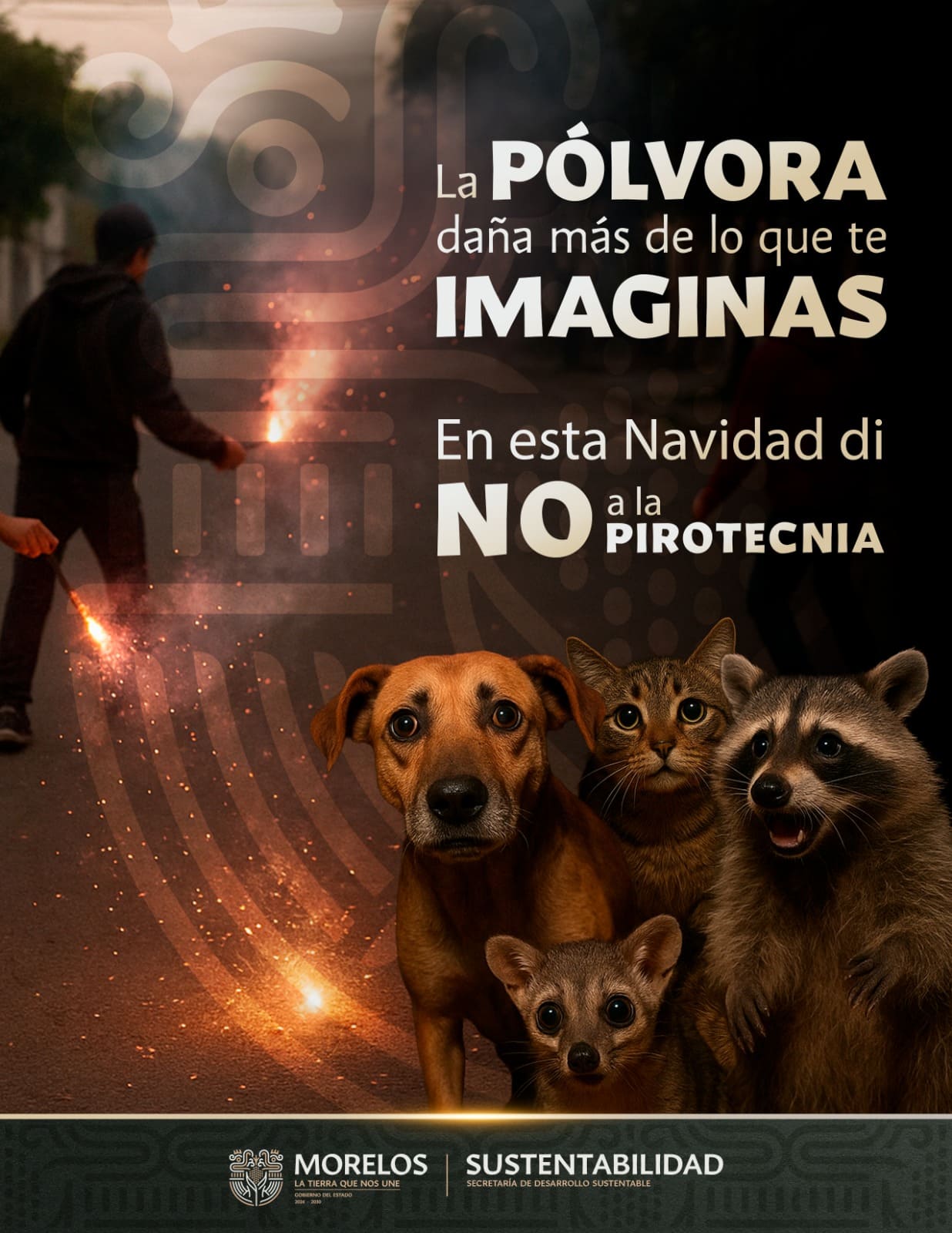 Llama Gobierno de Morelos a reflexionar sobre los daños irreversibles de la pirotecnia en la fauna y el ambiente Llama Gobierno de Morelos a reflexionar sobre los daños irreversibles de la pirotecnia en la fauna y el ambiente
