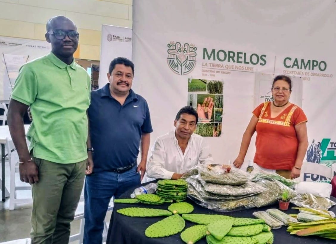   Impulsa Morelos financiamiento directo al campo con el programa Agrobanco