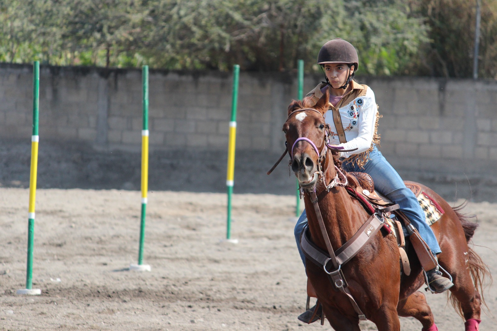 Competirá Morelos por segundo año en rodeo en la Olimpiada Nacional 2026 Competirá Morelos por segundo año en rodeo en la Olimpiada Nacional 2026