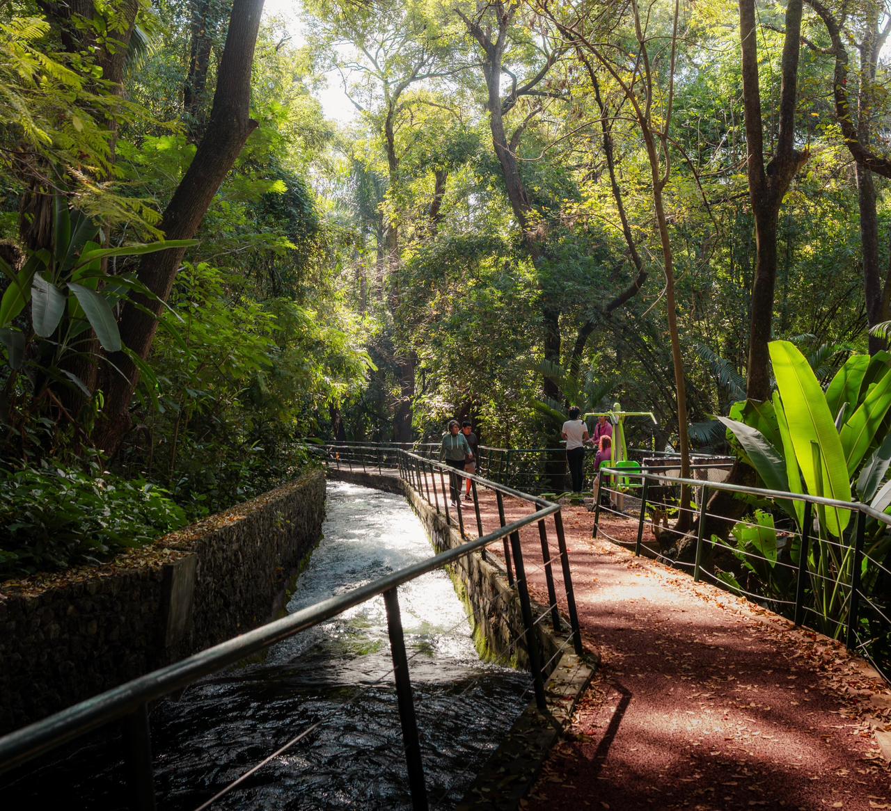 Anuncia Secretaría de Desarrollo Sustentable actualización en el costo de acceso al Parque Barranca Chapultepec