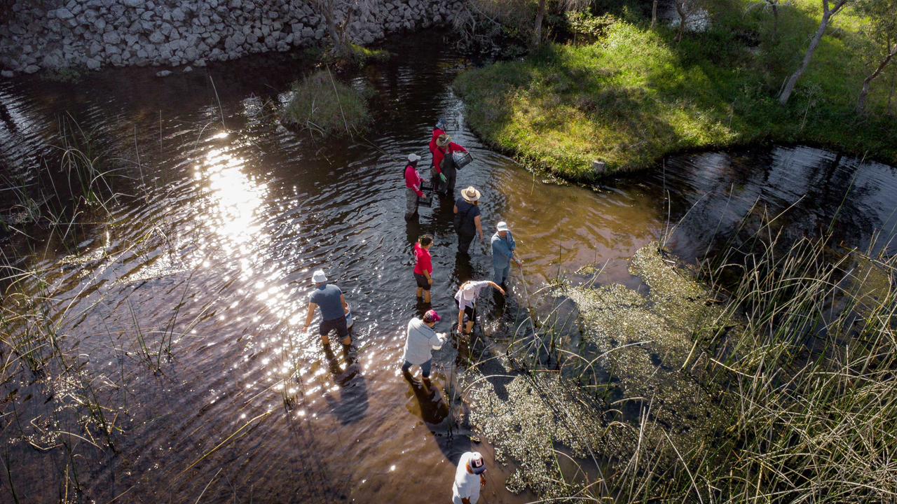 Realiza Gobierno de Morelos y sociedad civil saneamiento de la Laguna de Hueyapan en el Parque Estatal El Texcal