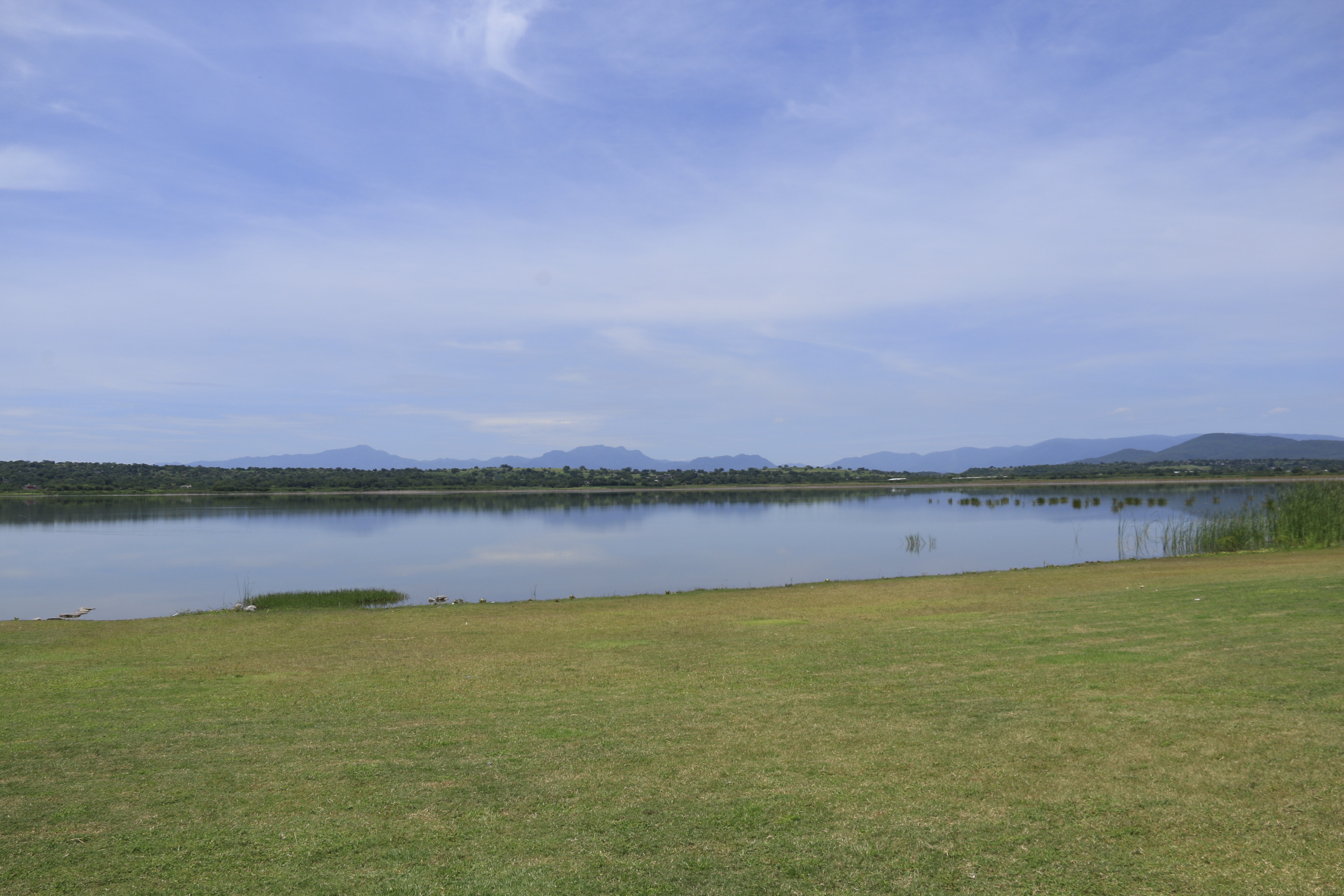 Laguna de Coatetelco