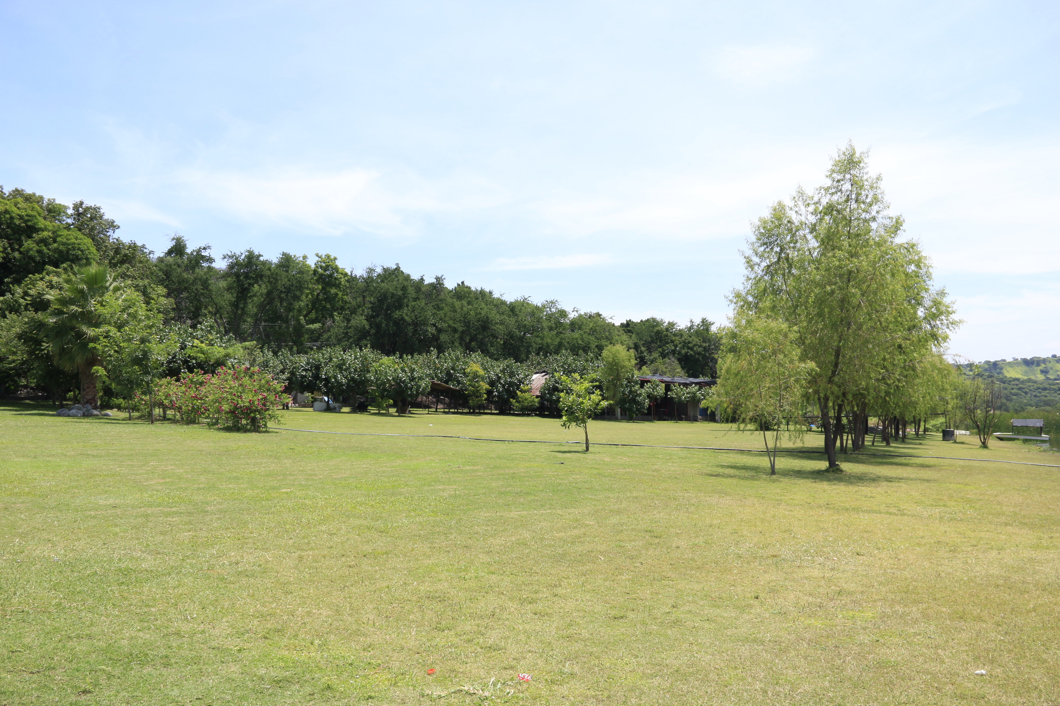 Laguna de Coatetelco