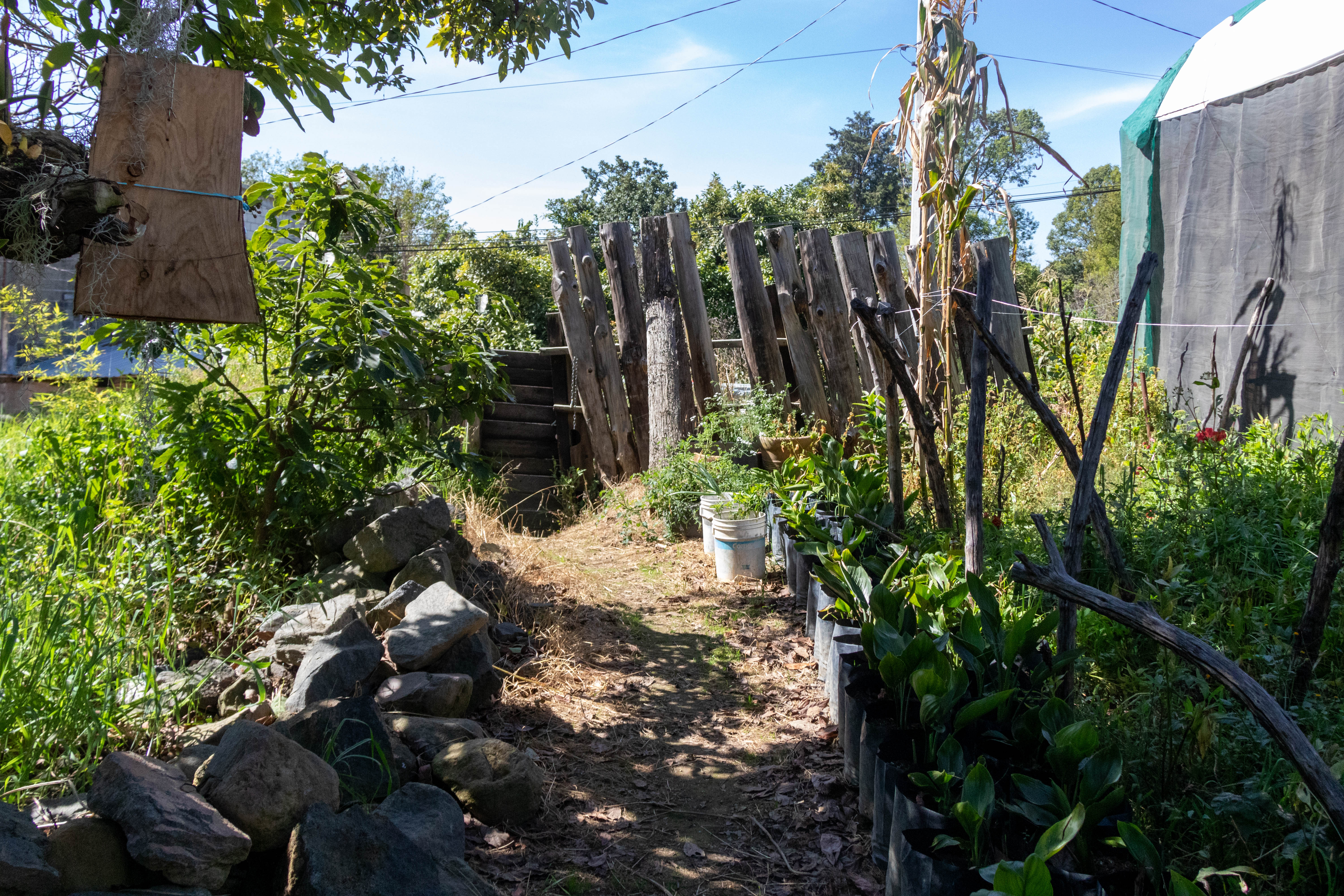 Orquidiario Hueyapan