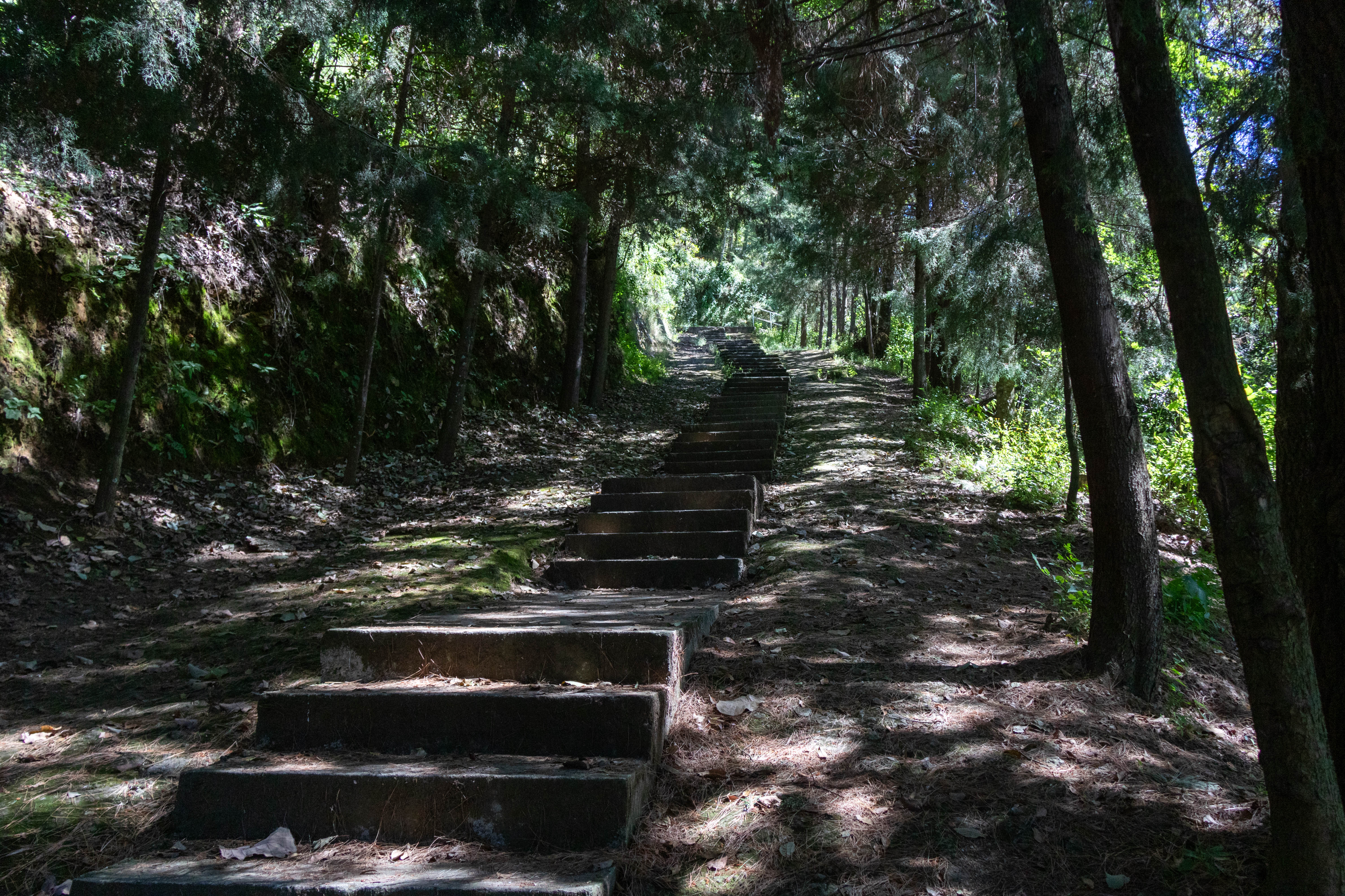 Escaleras Mirador Coatltépetl