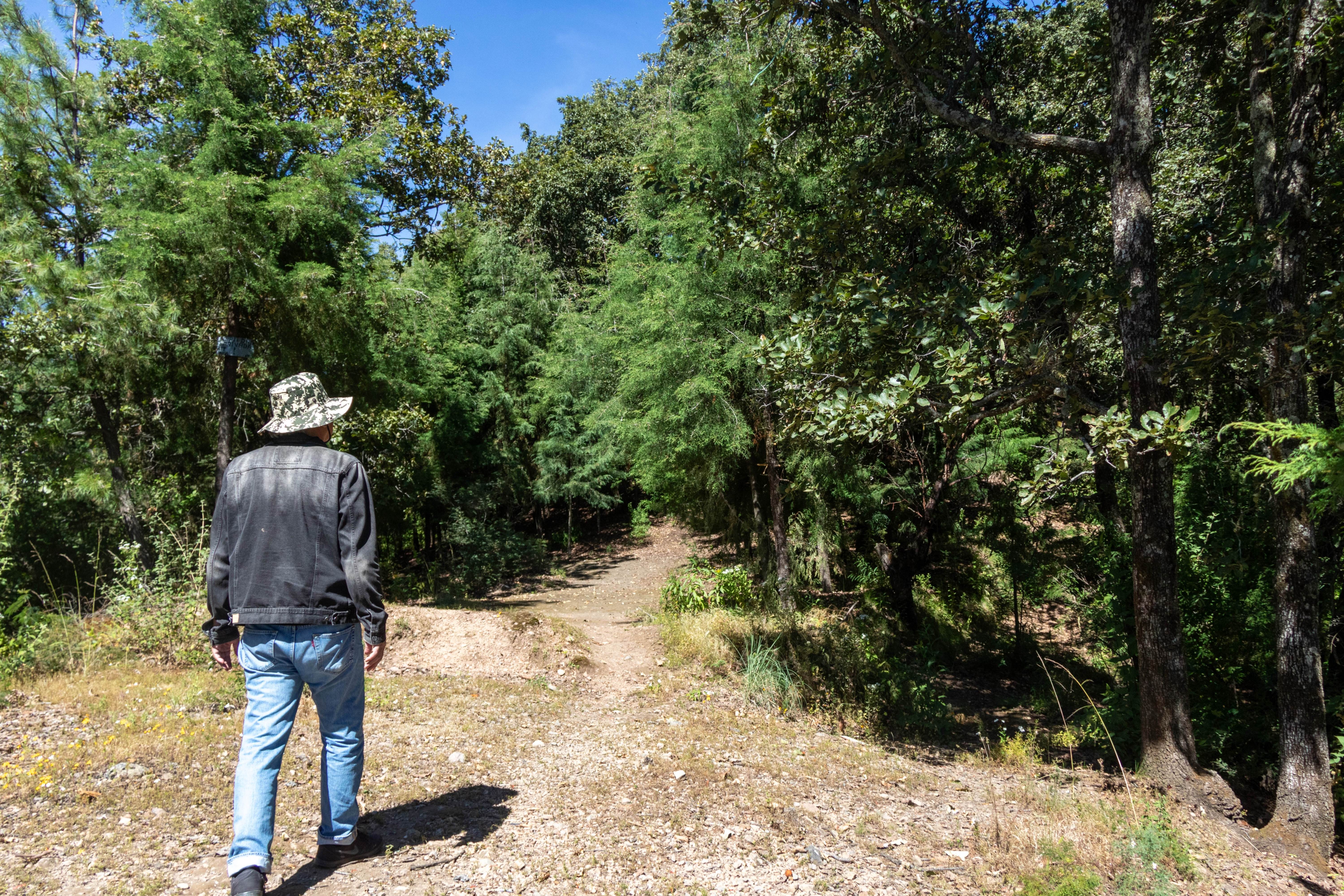 Mirador Coatltépetl