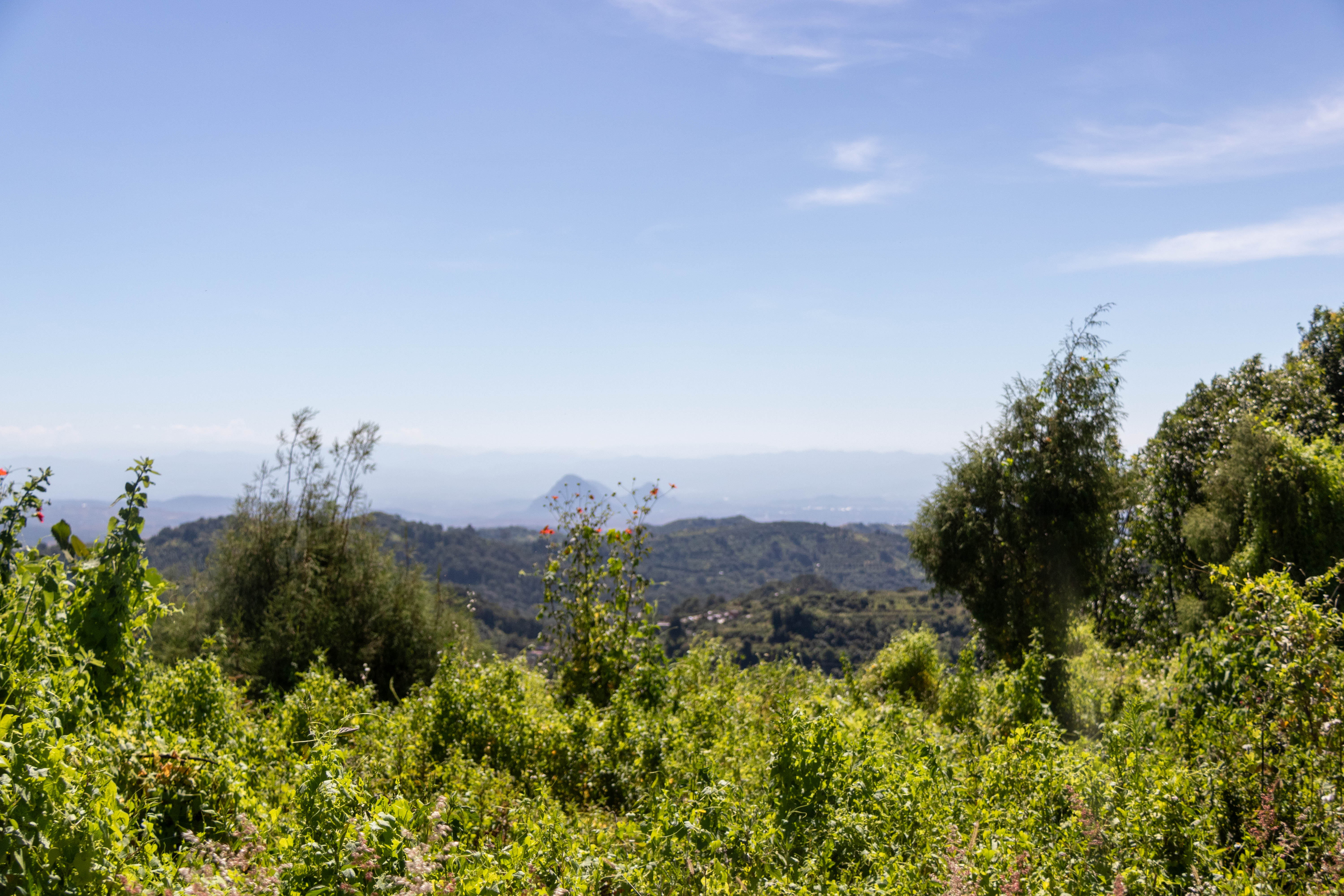 Mirador Coatltépetl