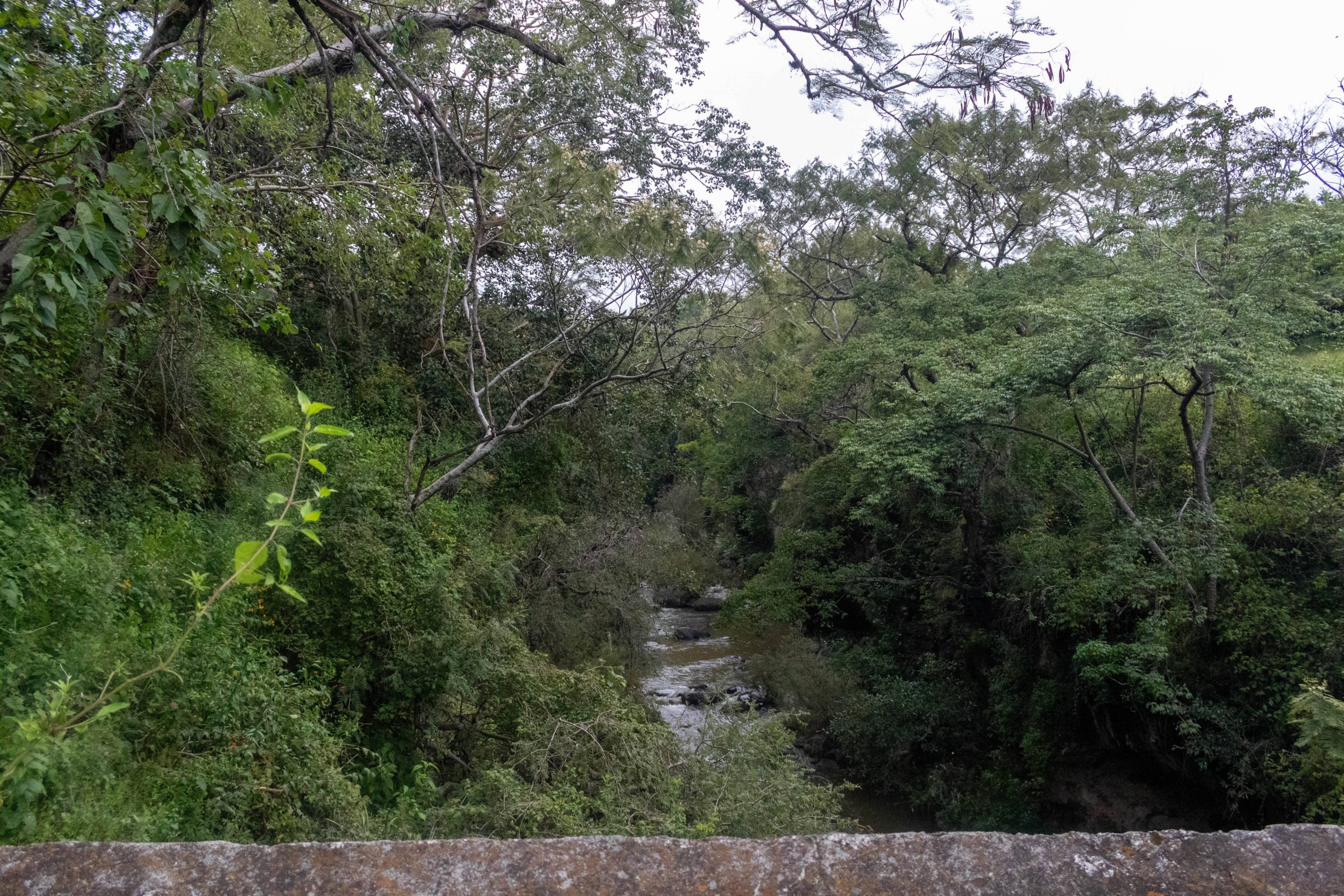 Puente del Río