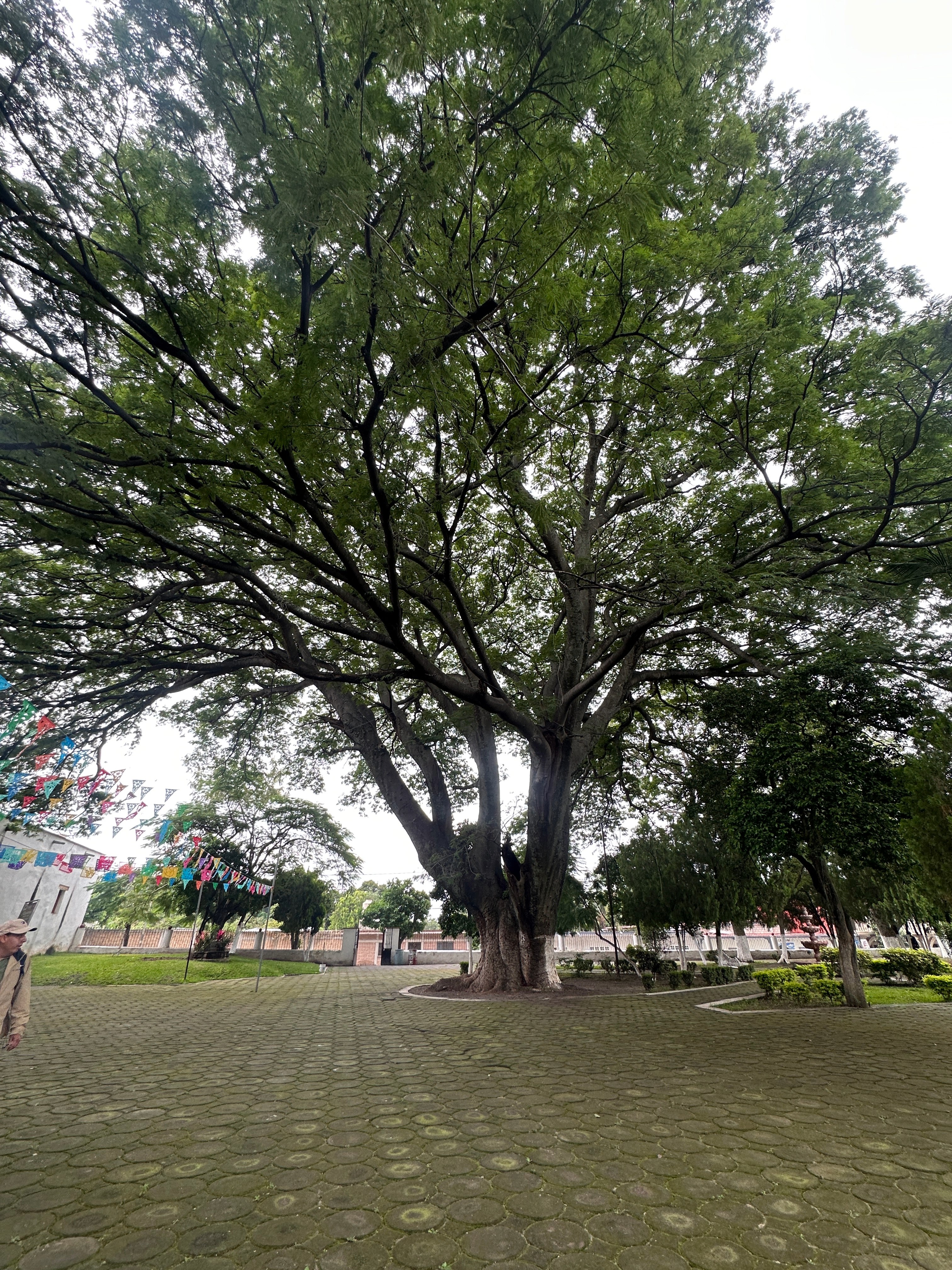 Templo y Ex Convento de Santiago Apostol