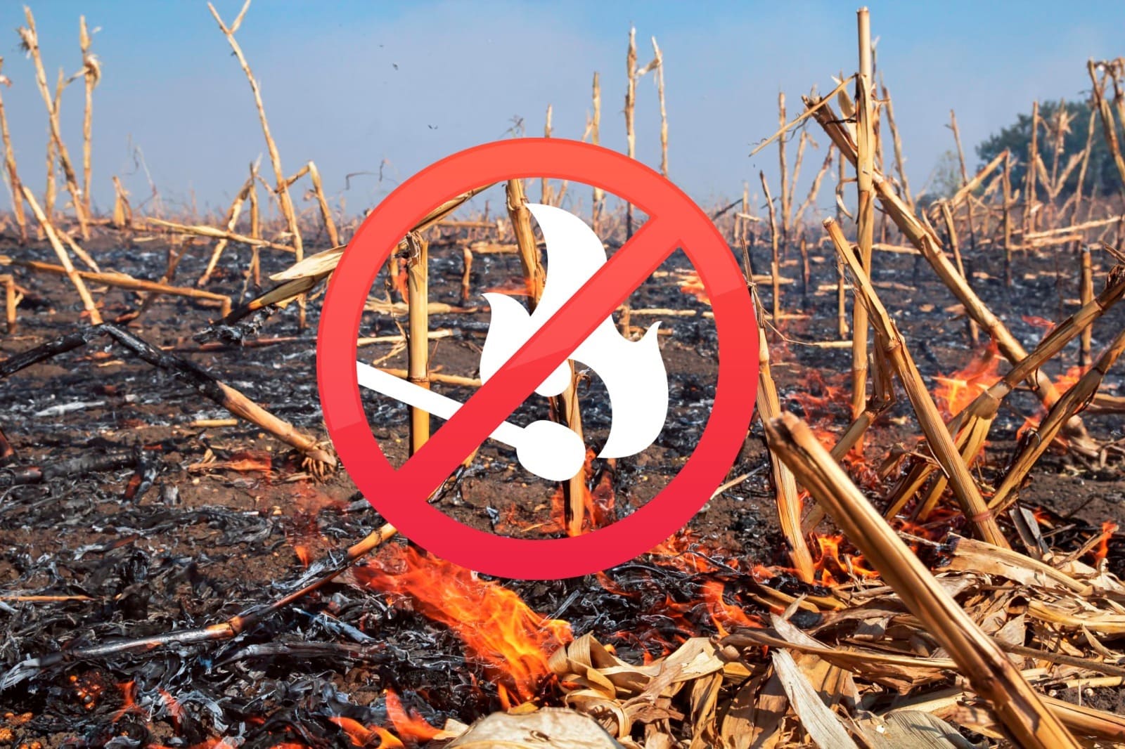 Solicita Gobierno estatal evitar quemas agrícolas durante actual periodo de estiaje en Morelos